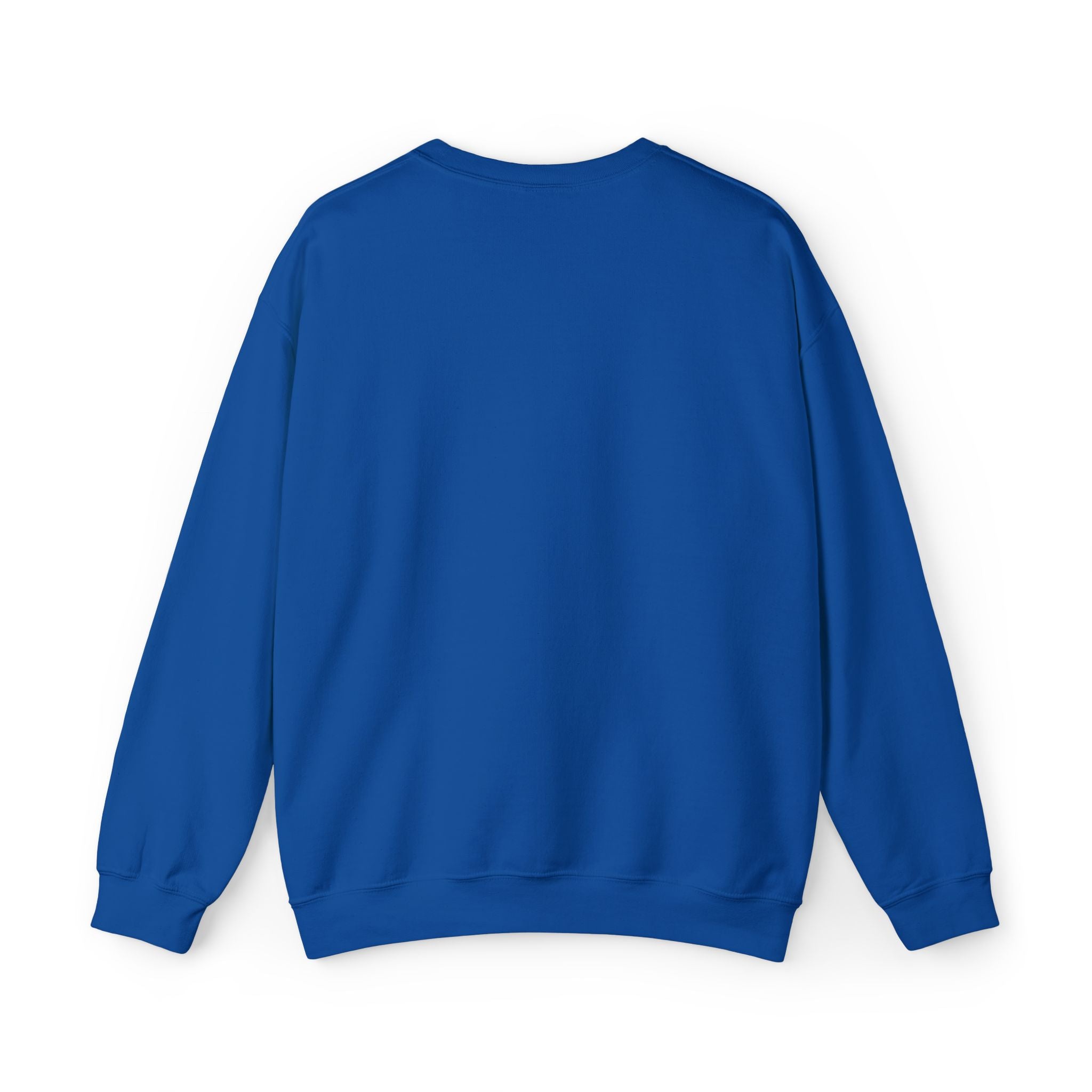 Crewneck Sweatshirt — 'Spring Hill Panthers' Minimalist School Crew