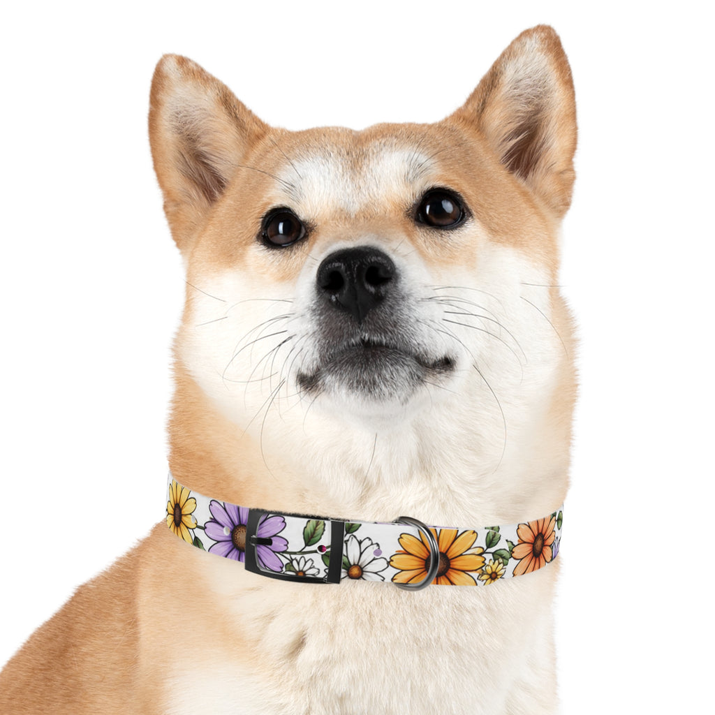 Floral Daisy Dog Collar — Colorful Spring Flower Pet Collar