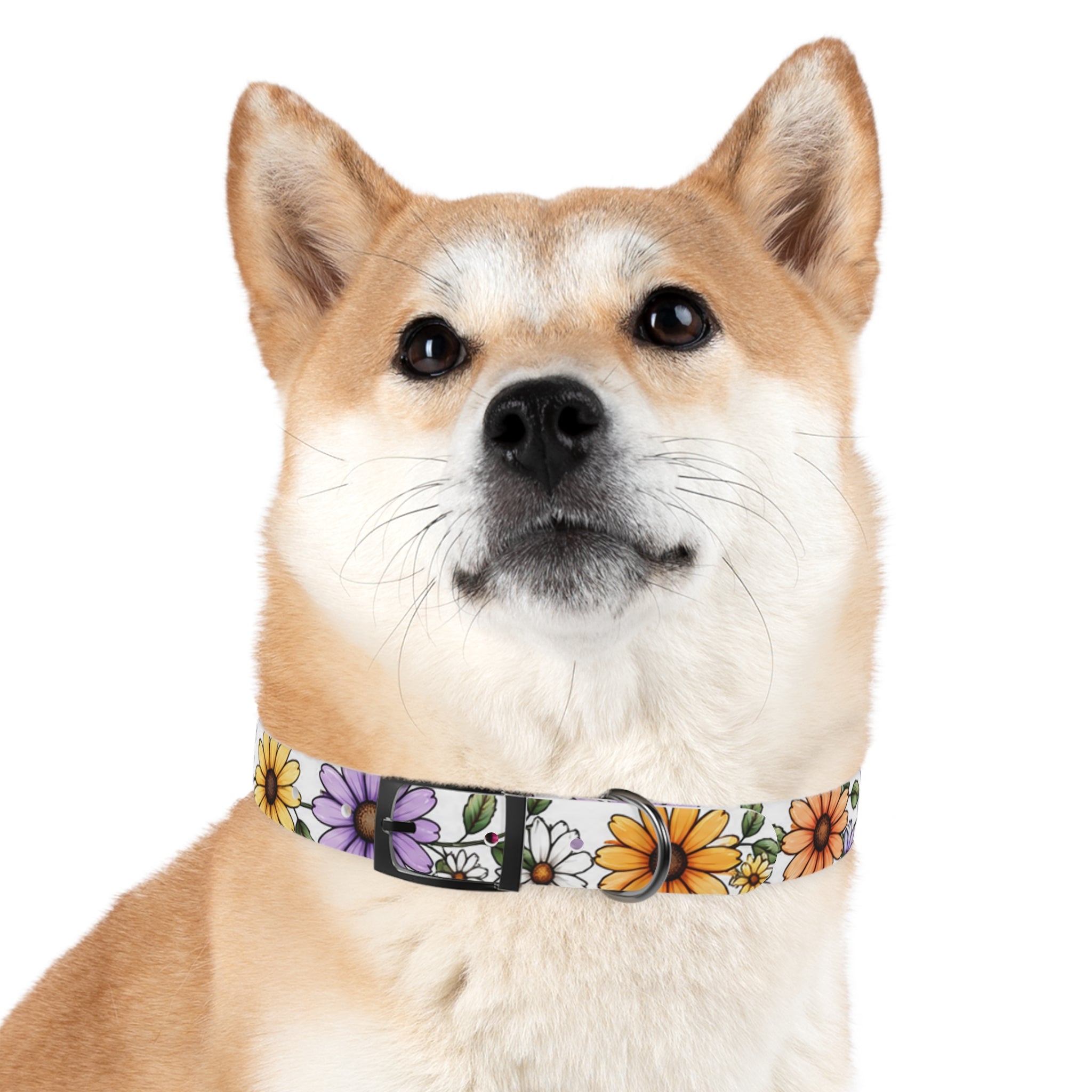Floral Daisy Dog Collar — Colorful Spring Flower Pet Collar