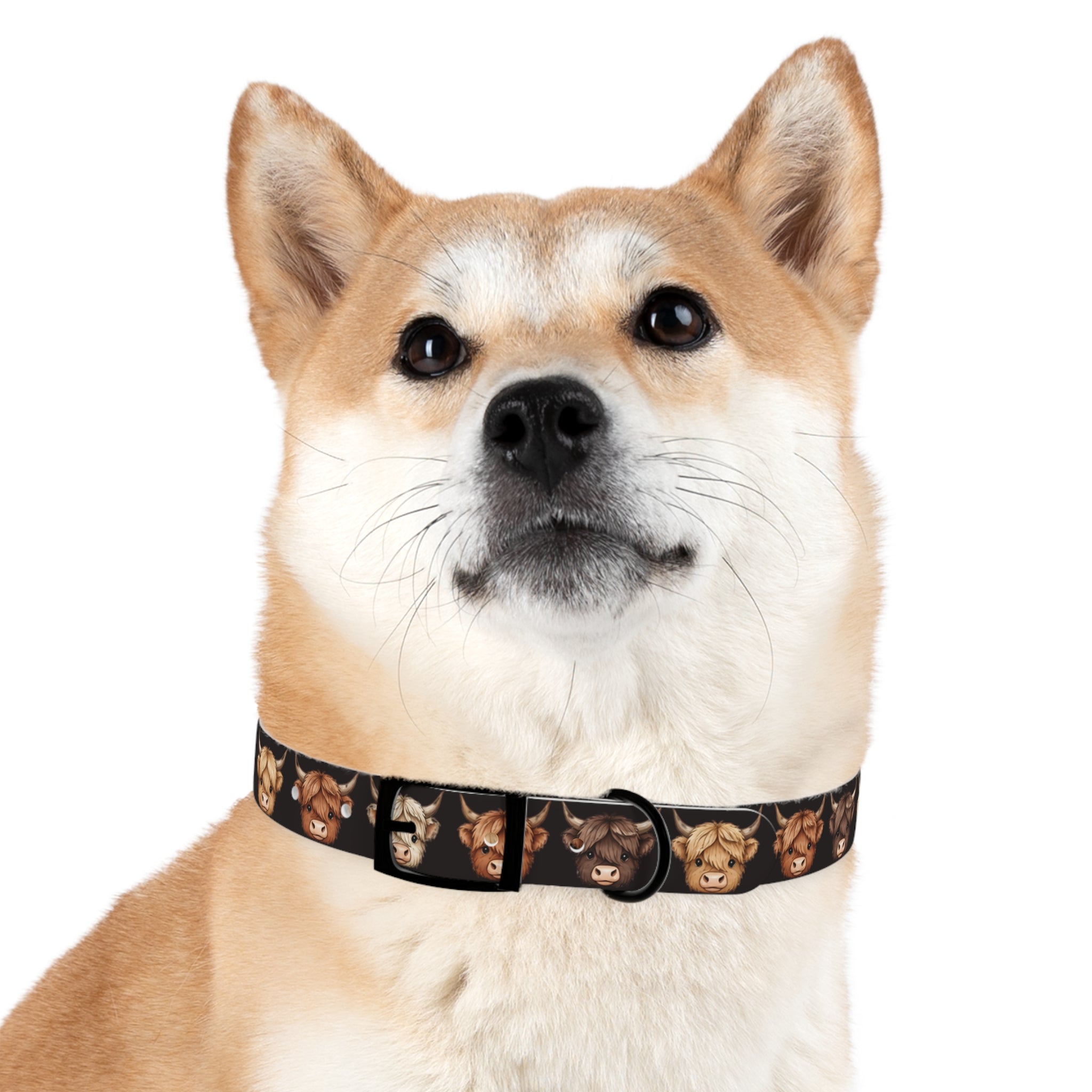 Highland Cow Dog Collar — Cute Scottish Cow Print Pet Collar