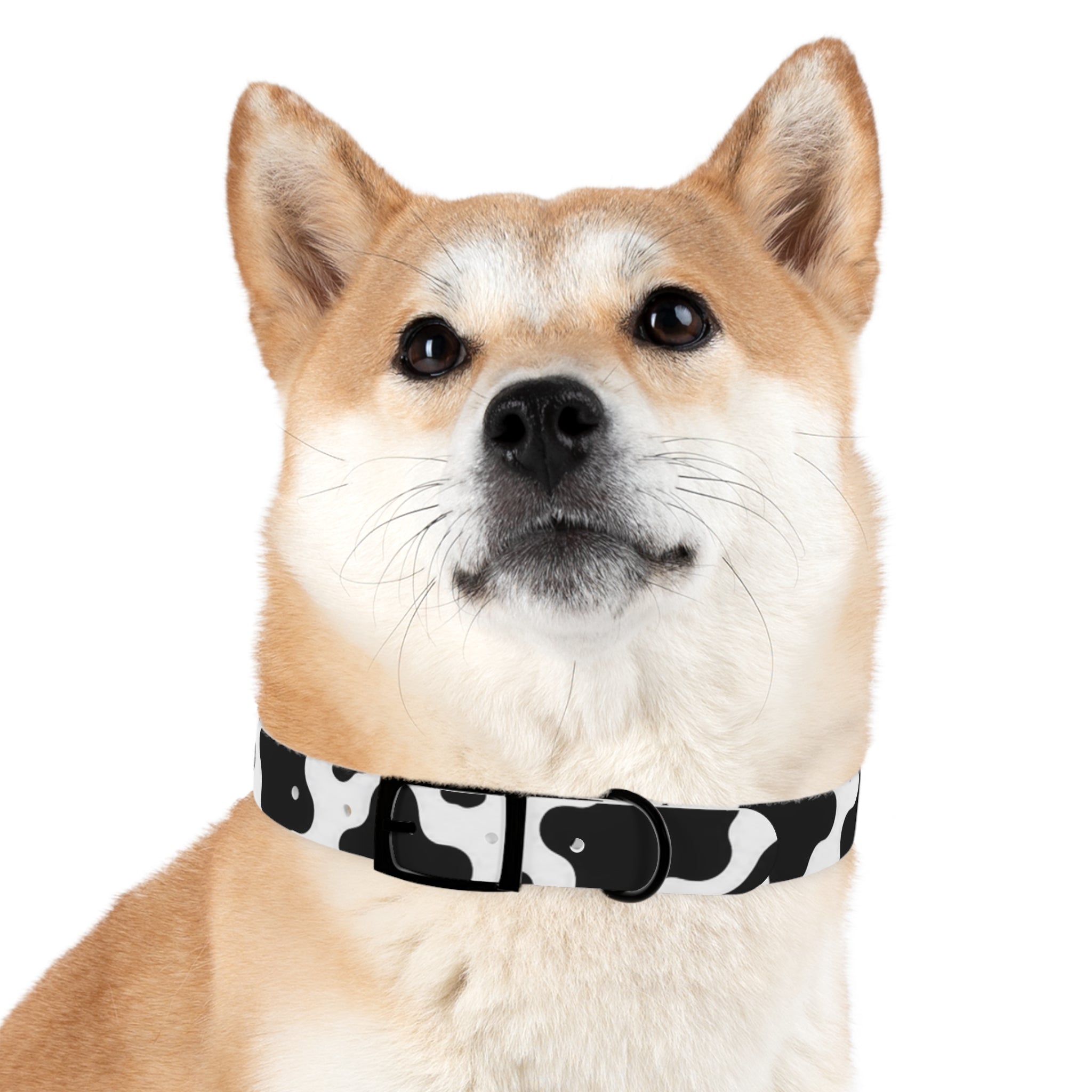 Cow Print Dog Collar — Black & White Cute Pup Accessory