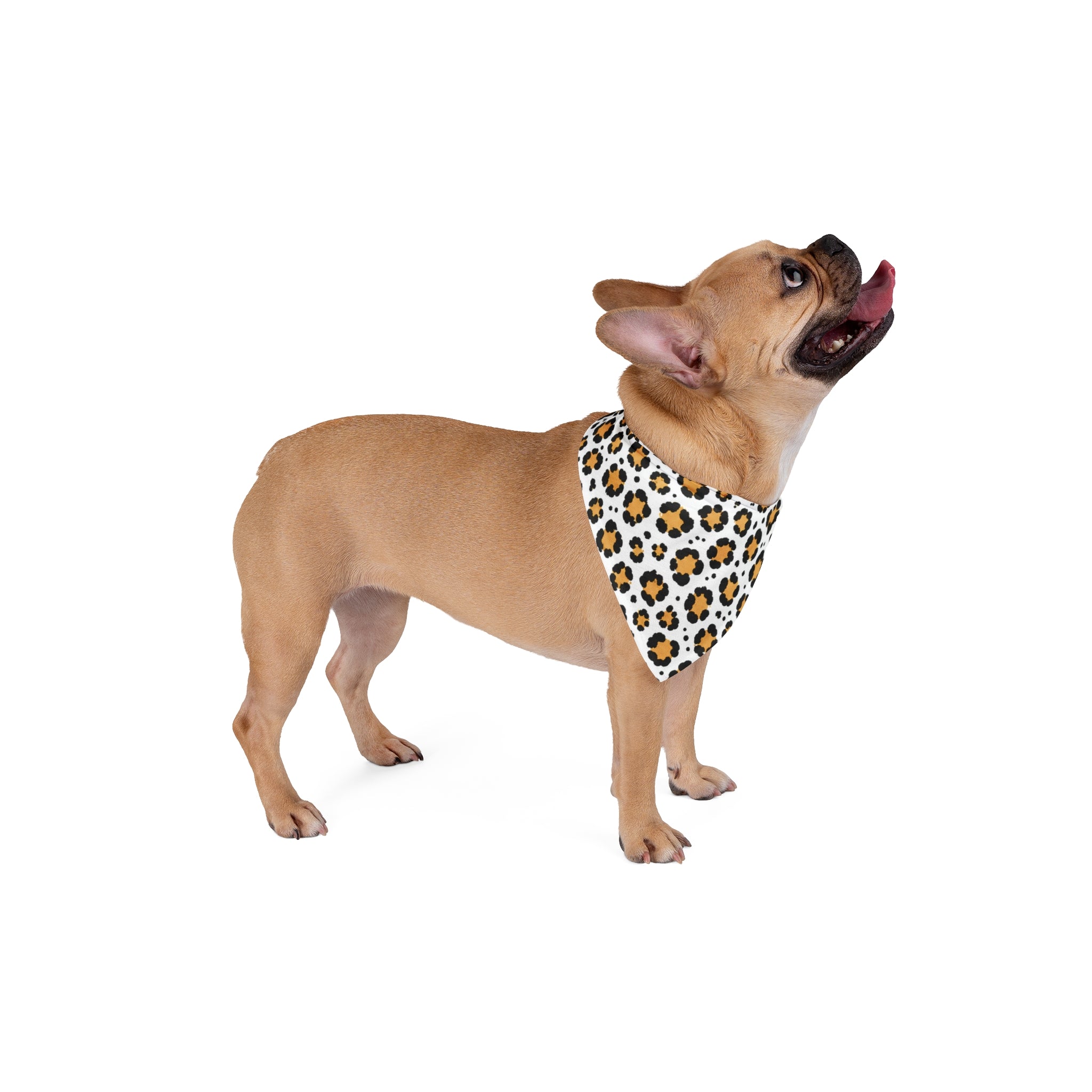 Leopard Paw Print Pet Bandana — Cute Animal Print Dog & Cat Accessory