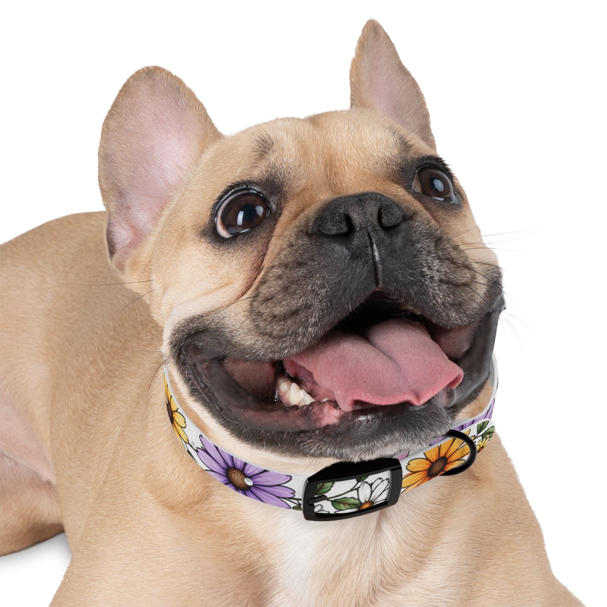 Floral Daisy Dog Collar — Colorful Spring Flower Pet Collar