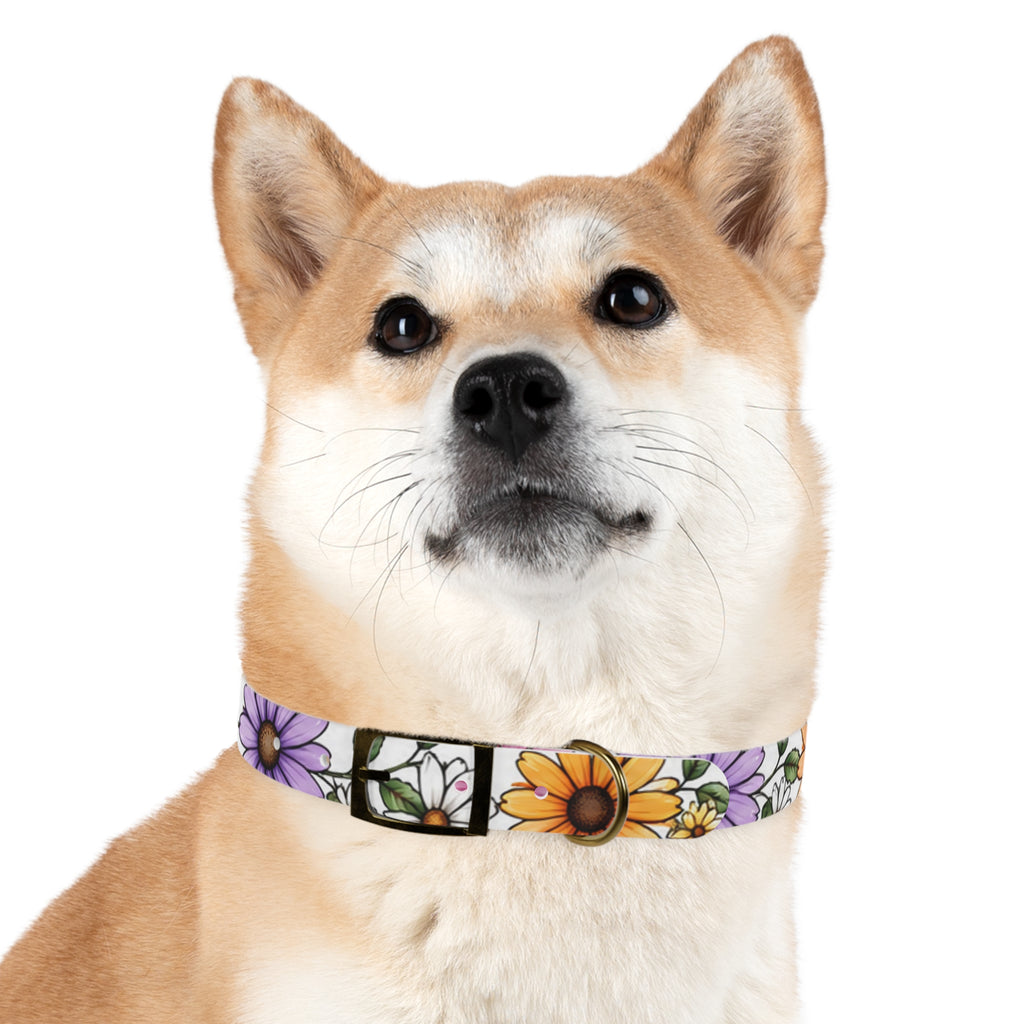 Floral Daisy Dog Collar — Colorful Spring Flower Pet Collar