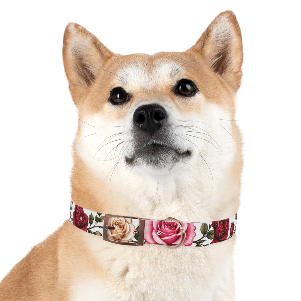 Floral Rose Dog Collar — Pink & Cream Garden Print