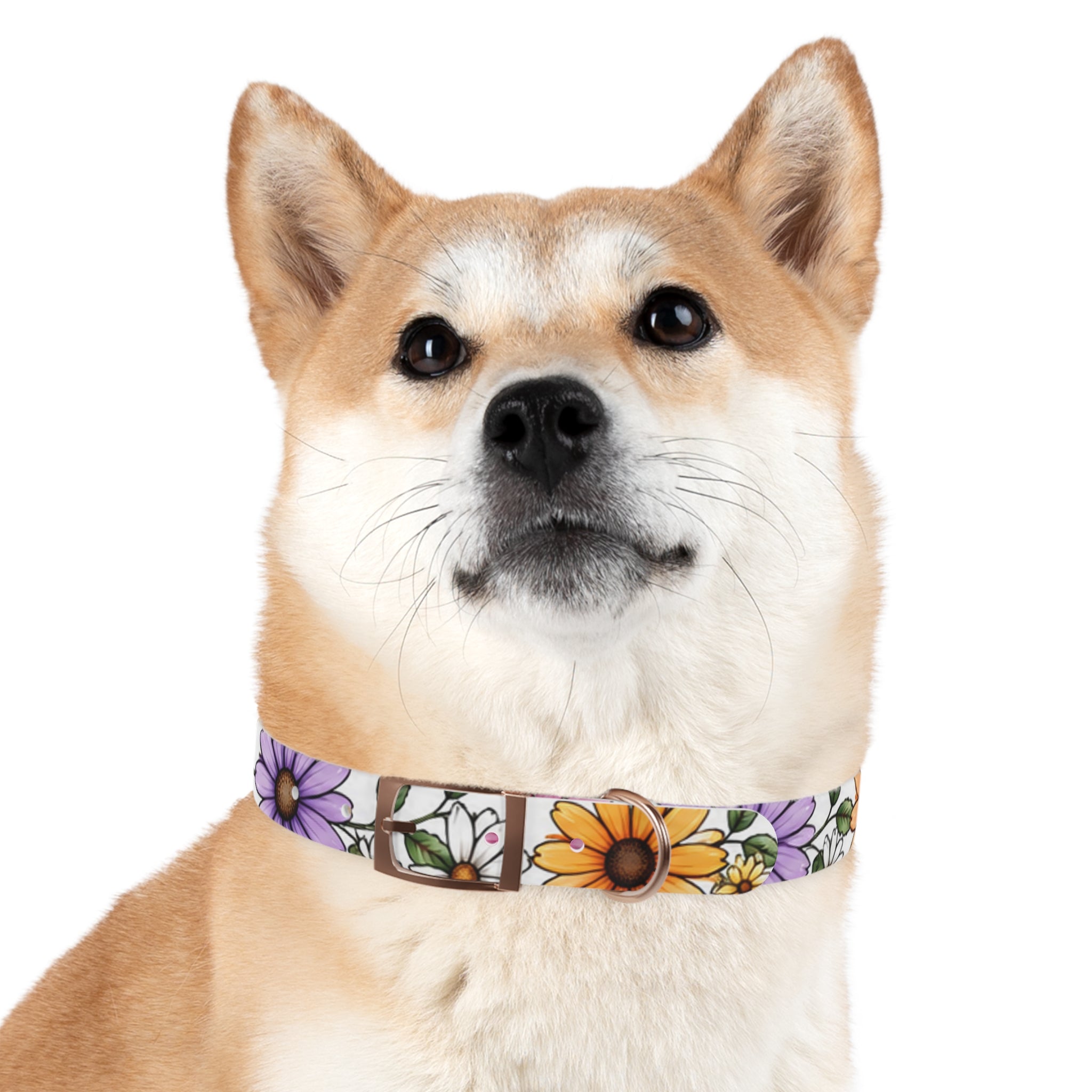 Floral Daisy Dog Collar — Colorful Spring Flower Pet Collar