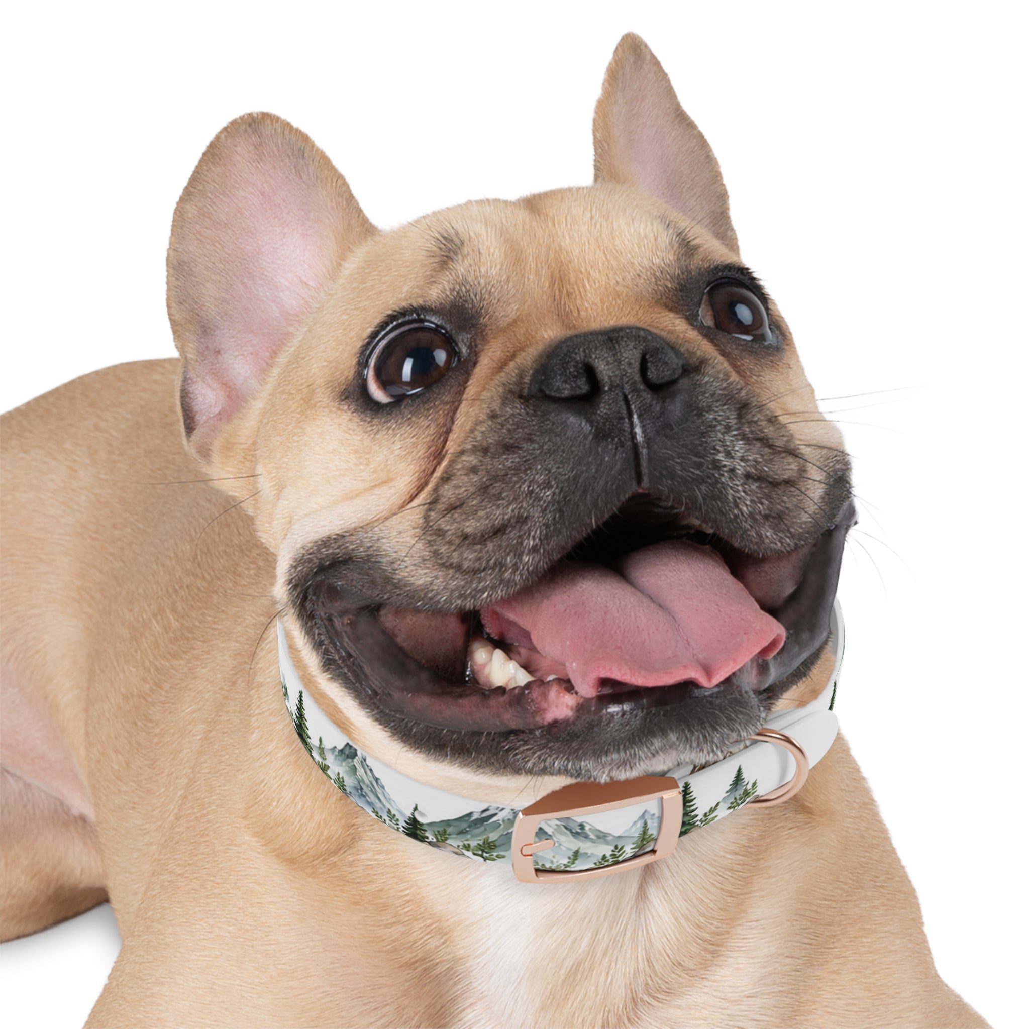 Mountain Pine Dog Collar — Watercolor Mountains & Evergreen Trees