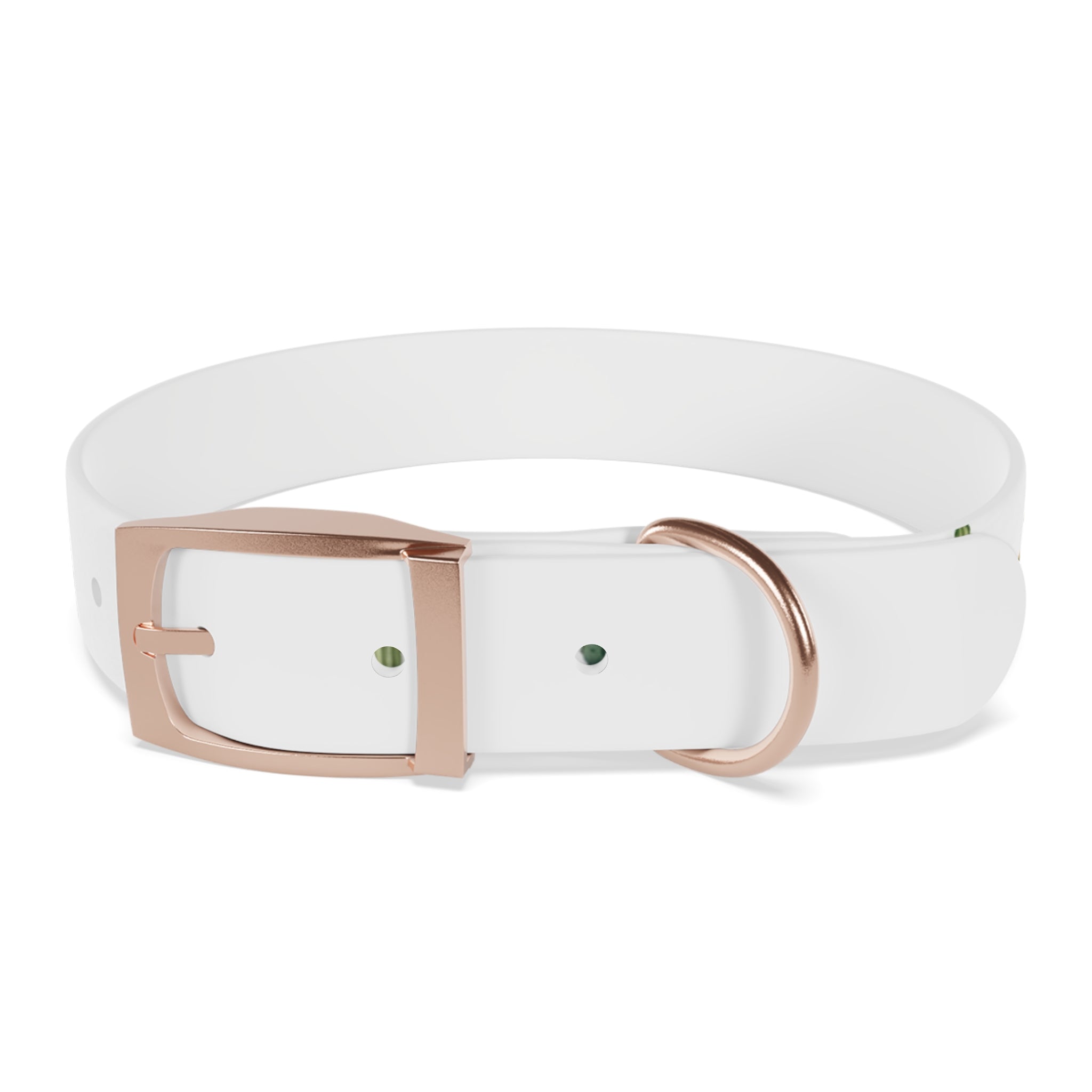 Cactus Garden Dog Collar — Watercolor Succulent Print for Small & Large Dogs
