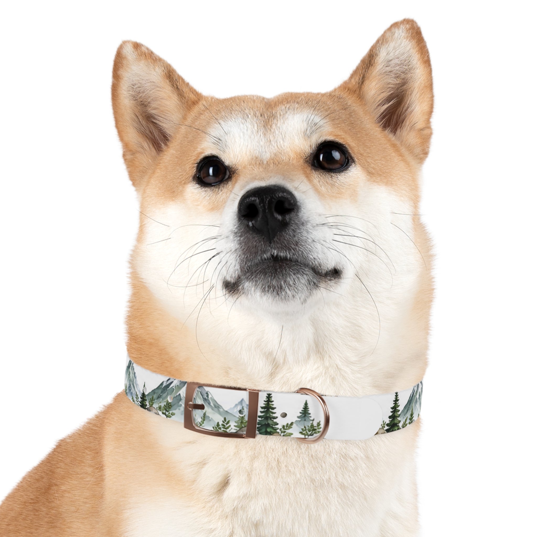 Mountain Pine Dog Collar — Watercolor Mountains & Evergreen Trees
