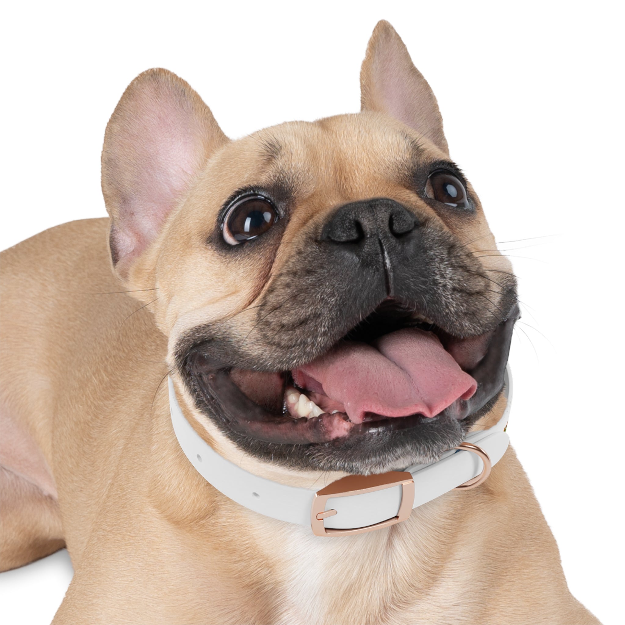 Cute Watercolor Dinosaurs Dog Collar – Adjustable Pet Collar with Colorful Dino Pattern