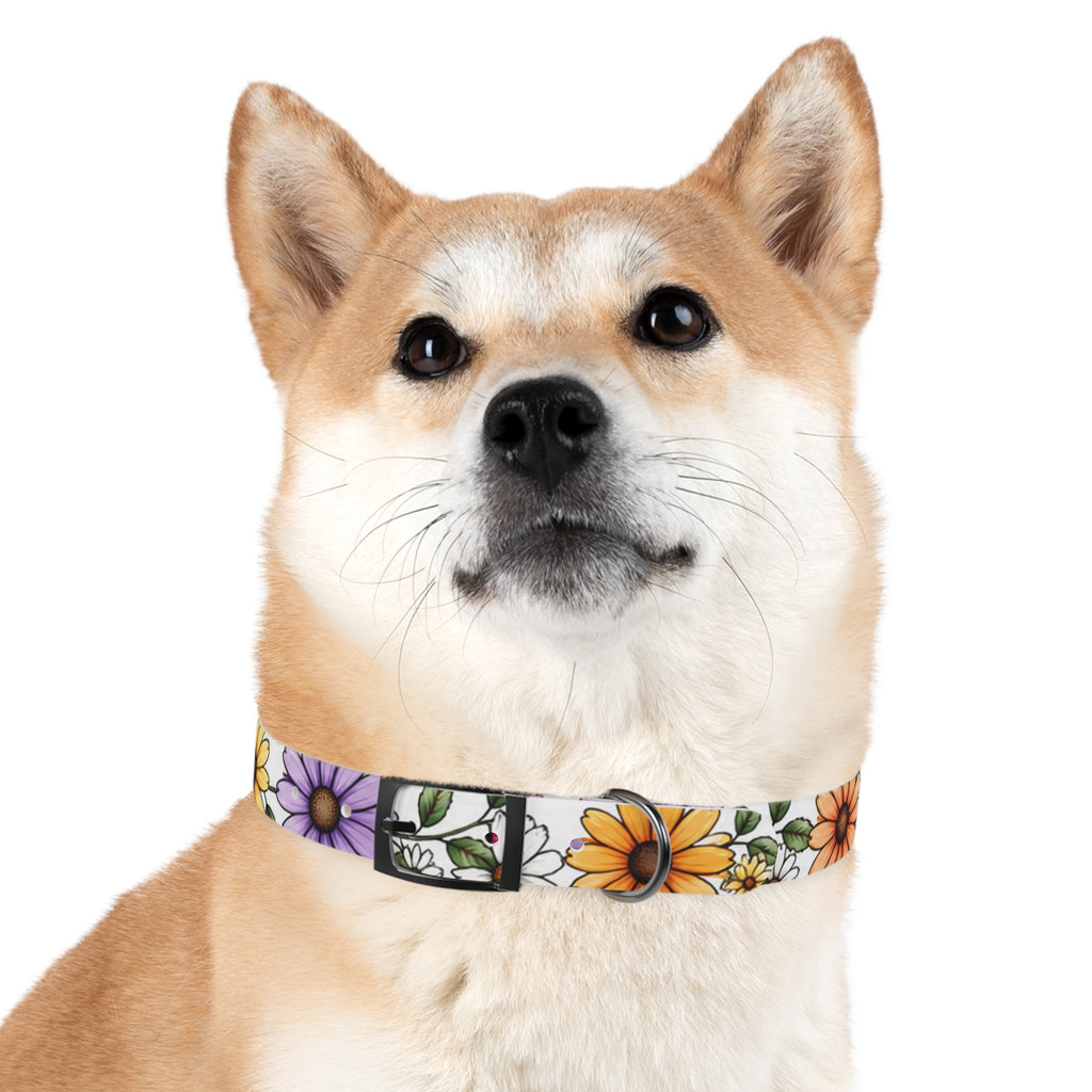 Floral Daisy Dog Collar — Colorful Spring Flower Pet Collar