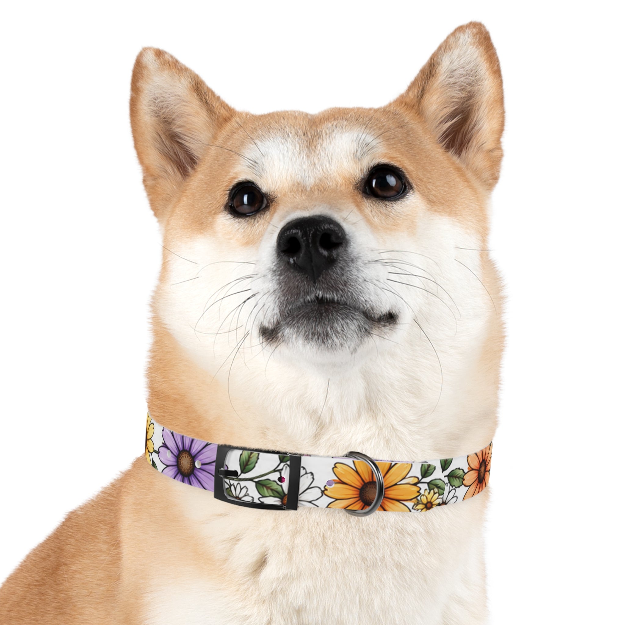 Floral Daisy Dog Collar — Colorful Spring Flower Pet Collar