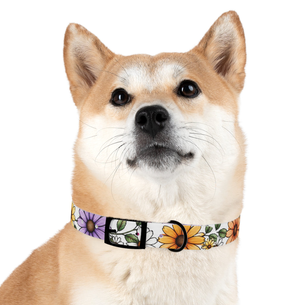 Floral Daisy Dog Collar — Colorful Spring Flower Pet Collar
