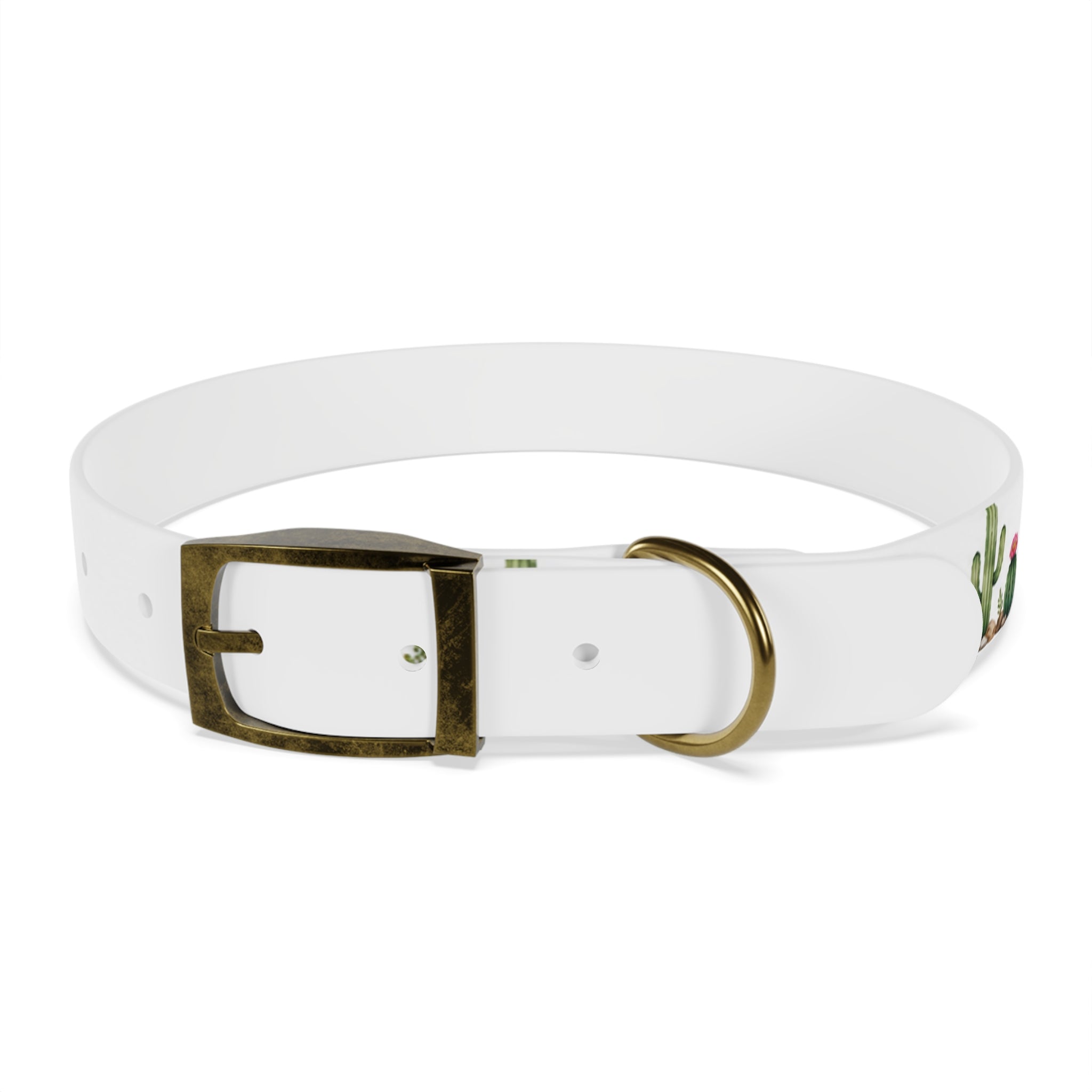 Cactus Garden Dog Collar — Watercolor Succulent Print for Small & Large Dogs