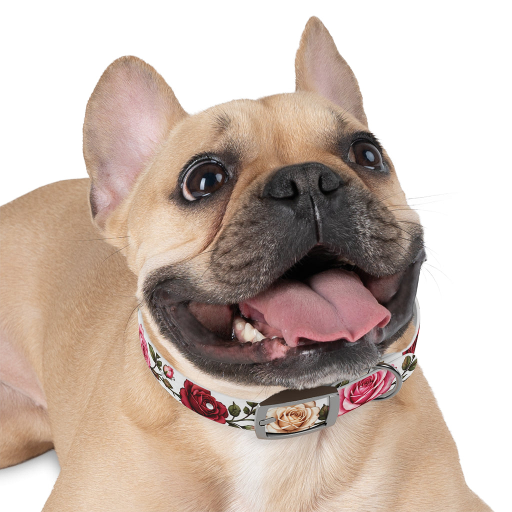 Floral Rose Dog Collar — Pink & Cream Garden Print