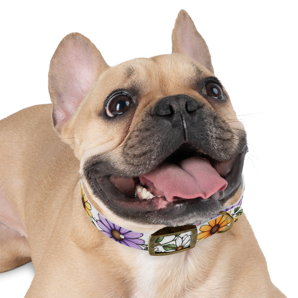 Floral Daisy Dog Collar — Colorful Spring Flower Pet Collar
