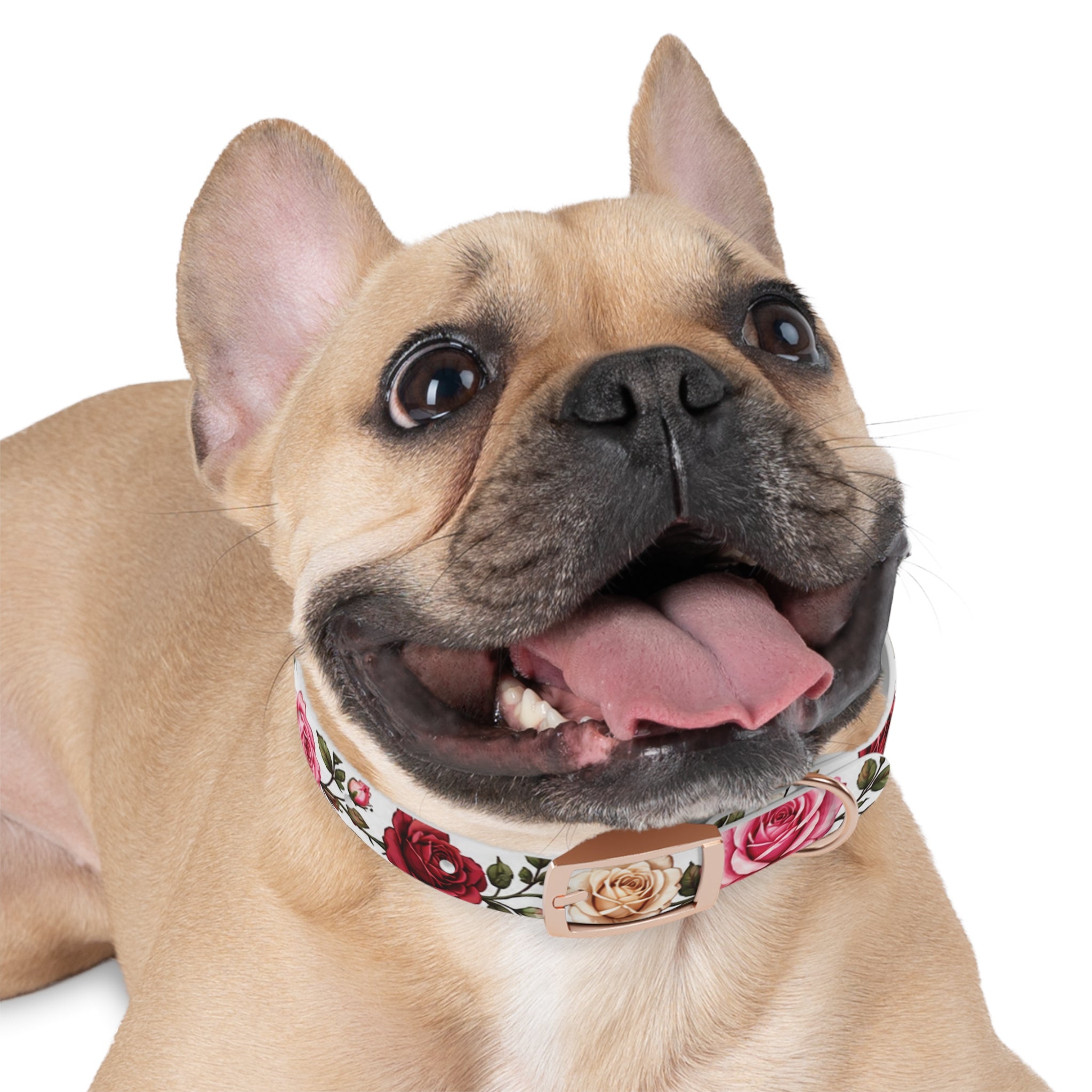 Floral Rose Dog Collar — Pink & Cream Garden Print