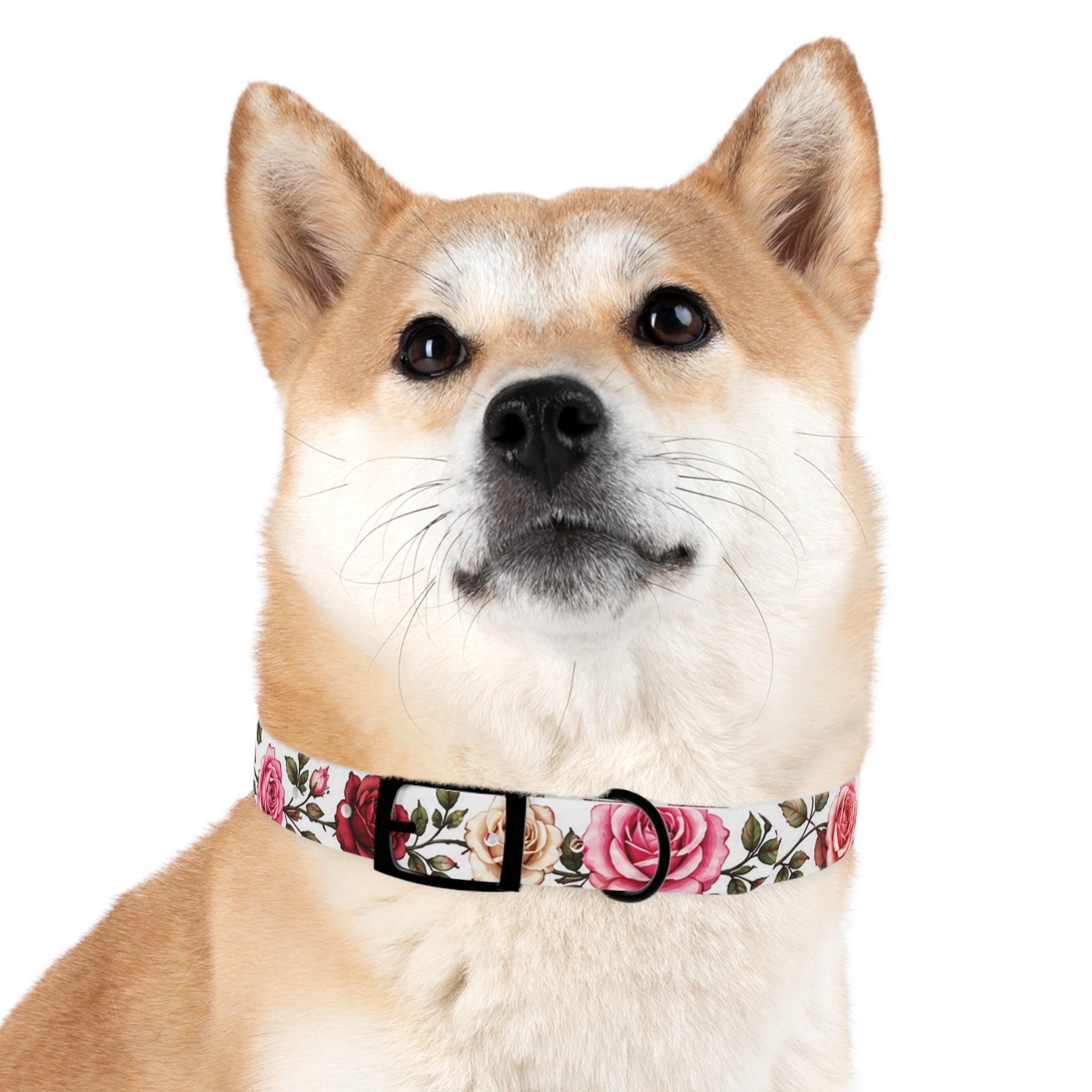 Floral Rose Dog Collar — Pink & Cream Garden Print