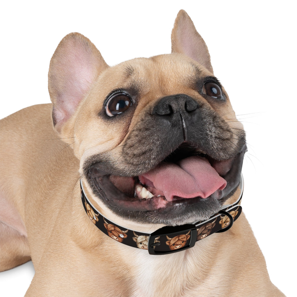 Highland Cow Dog Collar — Cute Scottish Cow Print Pet Collar