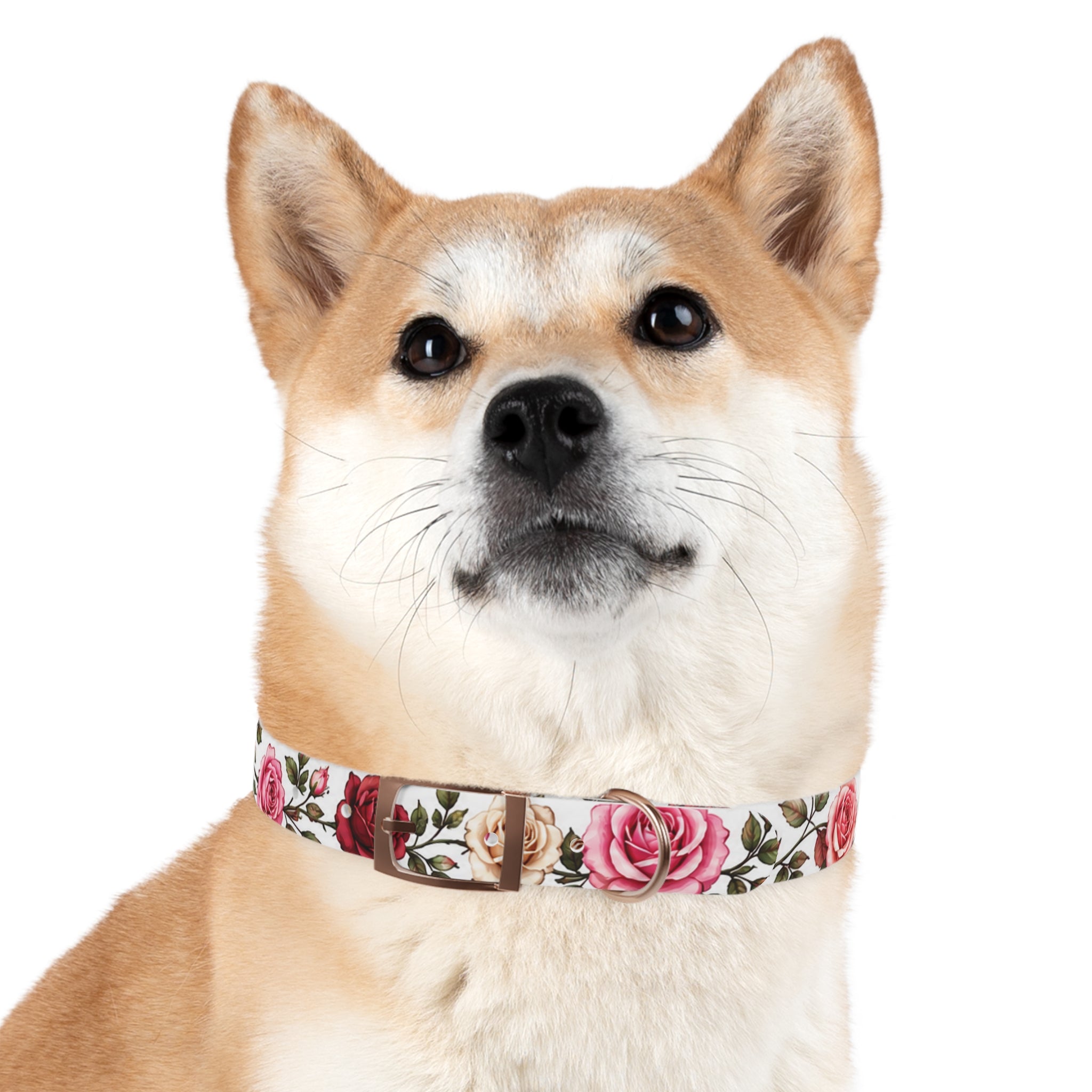 Floral Rose Dog Collar — Pink & Cream Garden Print