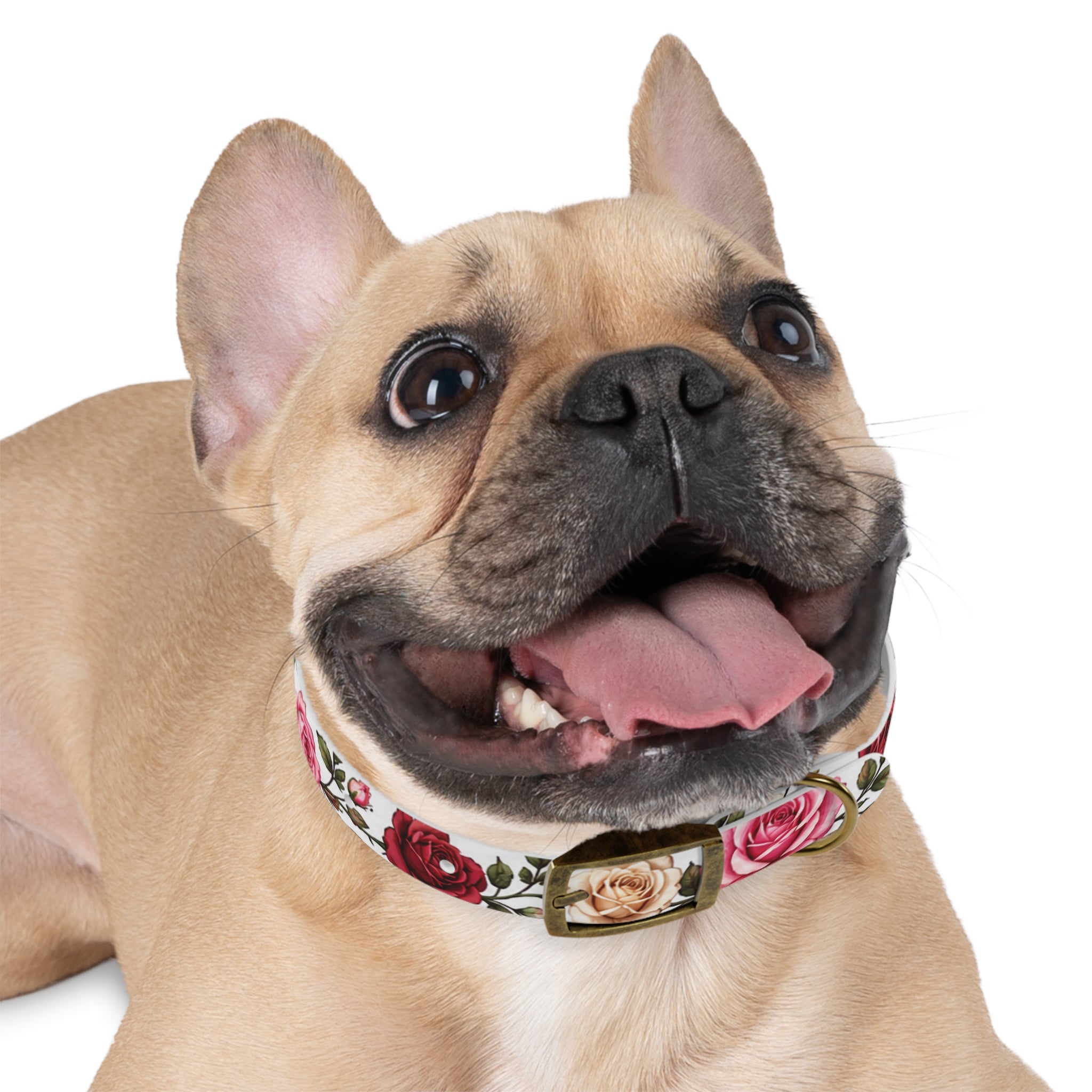 Floral Rose Dog Collar — Pink & Cream Garden Print