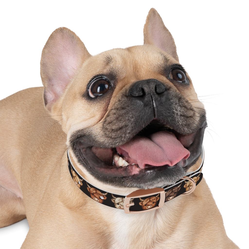 Highland Cow Dog Collar — Cute Scottish Cow Print Pet Collar