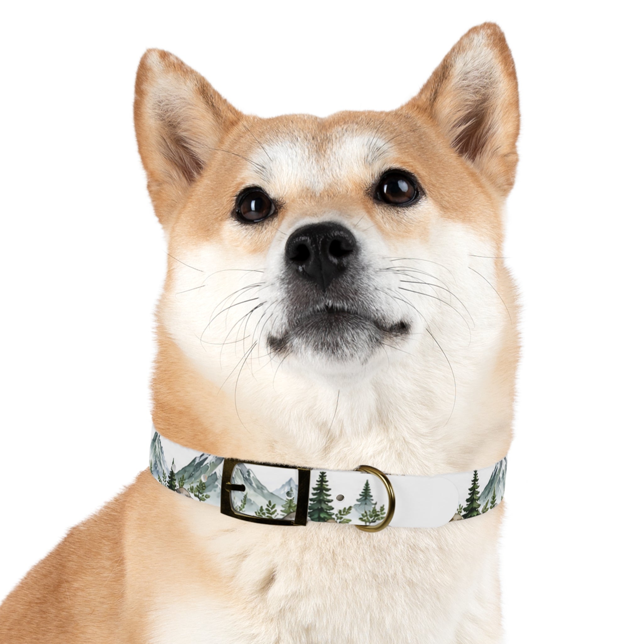 Mountain Pine Dog Collar — Watercolor Mountains & Evergreen Trees