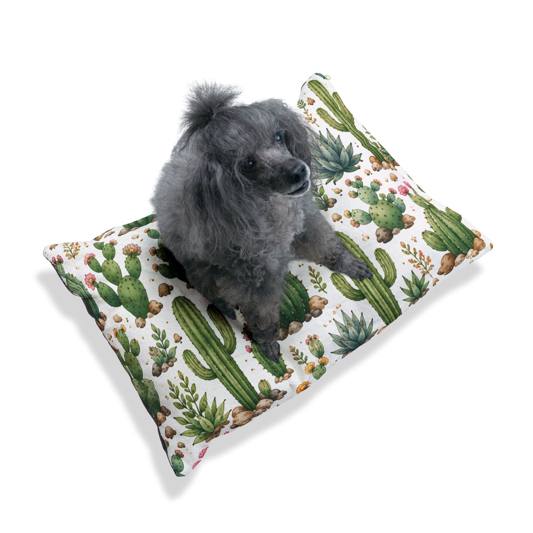 Cactus Garden Pet Bed — Floral Desert Print Dog & Cat Pillow