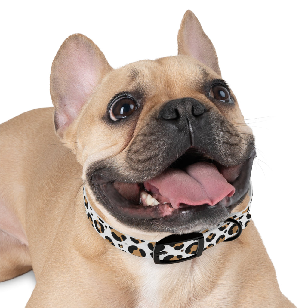 Leopard Print Dog Collar — Stylish Tan & Black Pattern for Small to Large Dogs