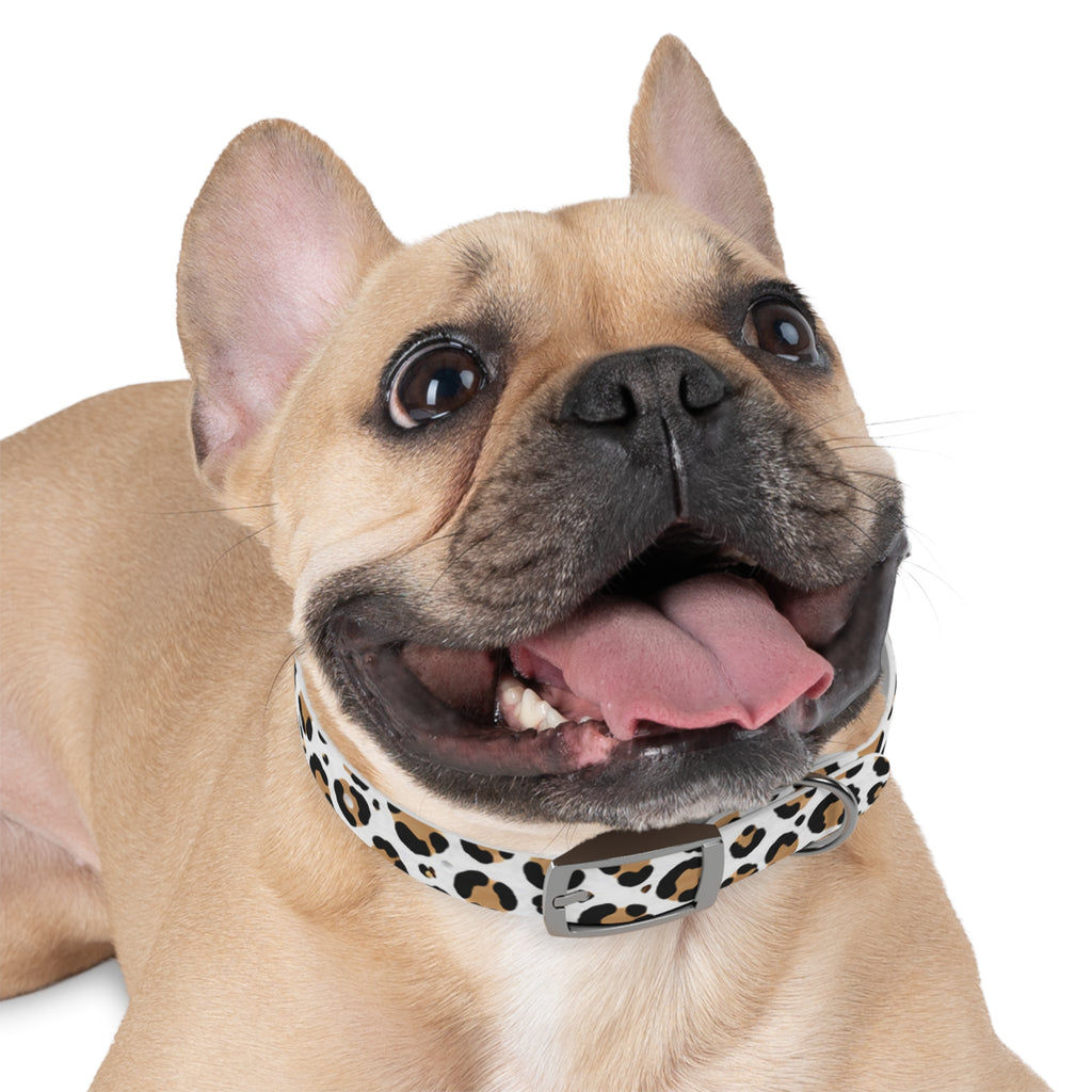 Leopard Print Dog Collar — Stylish Tan & Black Pattern for Small to Large Dogs