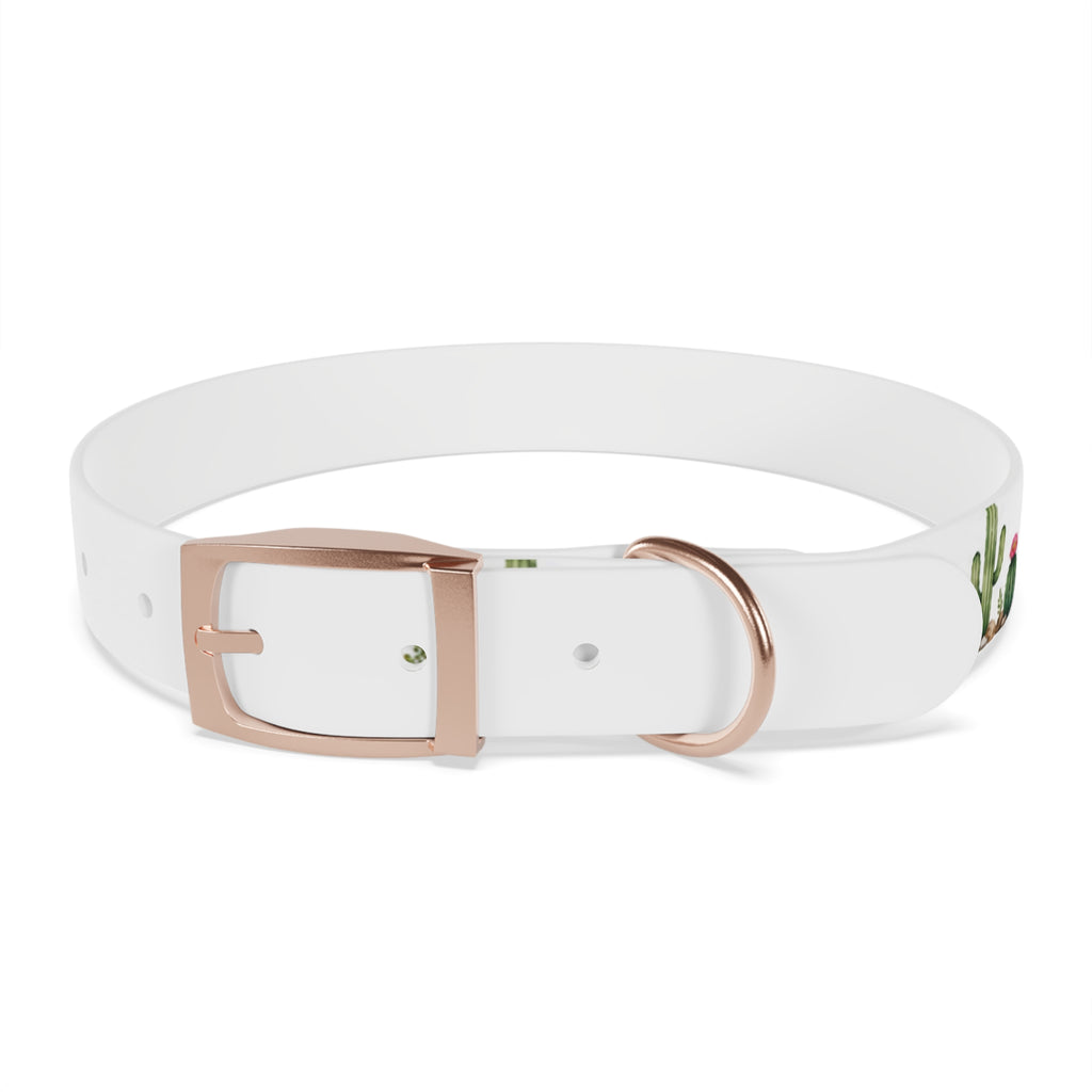 Cactus Garden Dog Collar — Watercolor Succulent Print for Small & Large Dogs