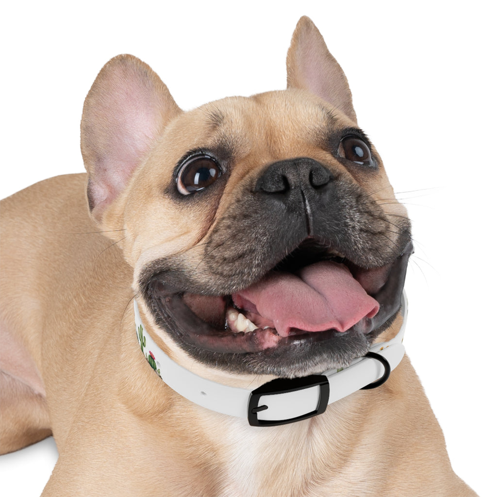 Cactus Garden Dog Collar — Watercolor Succulent Print for Small & Large Dogs