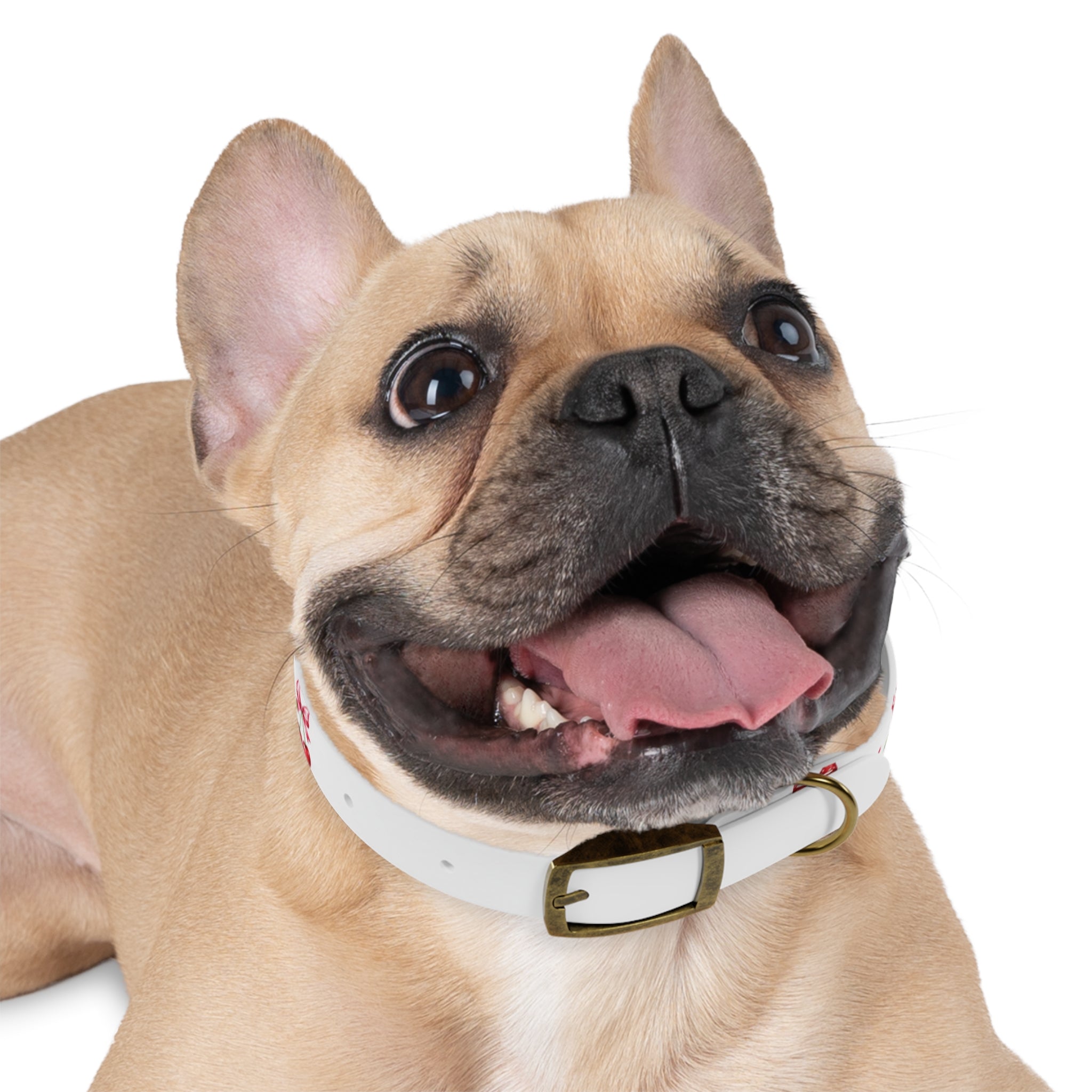 Cherry Bow Dog Collar — Cute Red Cherries Pattern Collar for Small & Medium Dogs