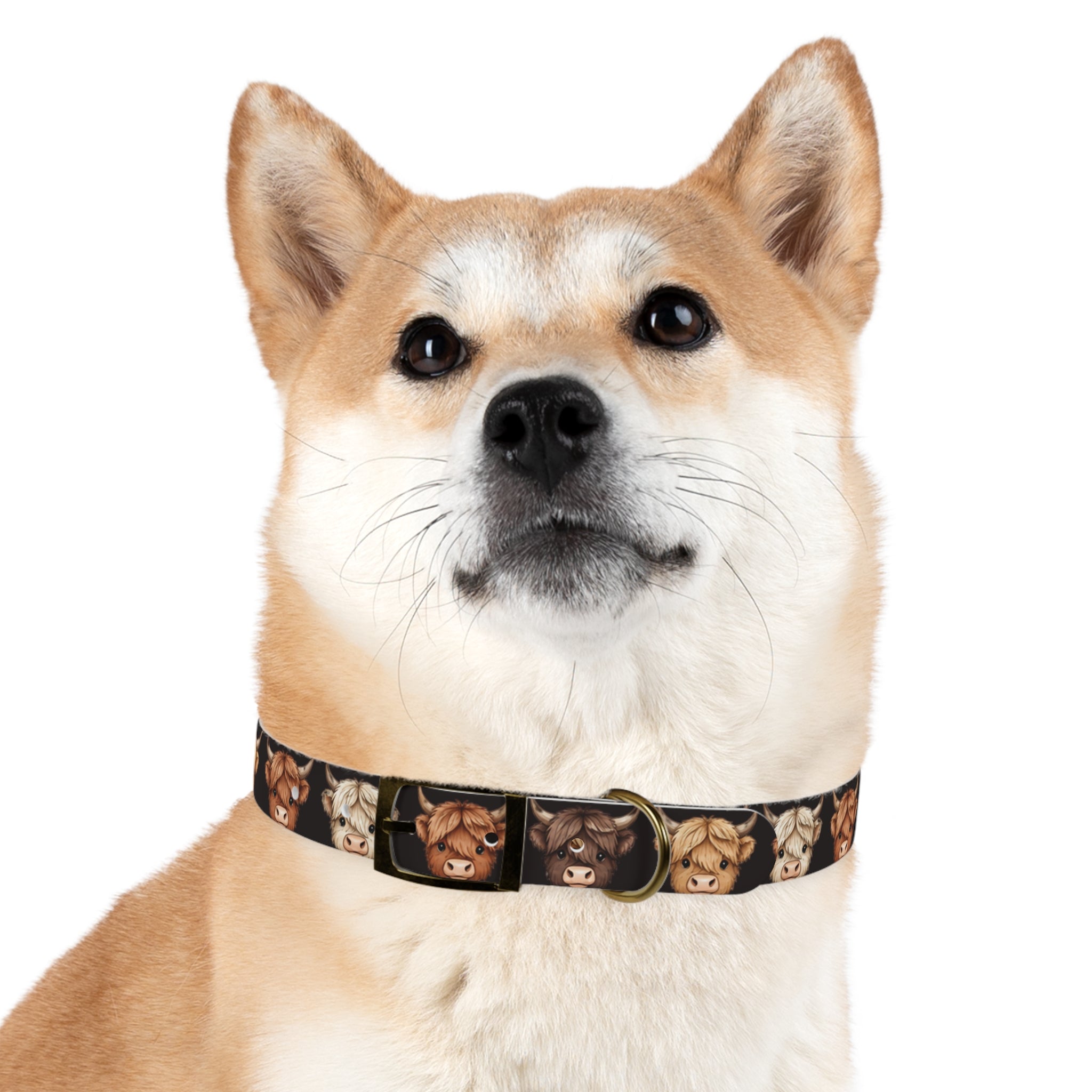 Highland Cow Dog Collar — Cute Scottish Cow Print Pet Collar