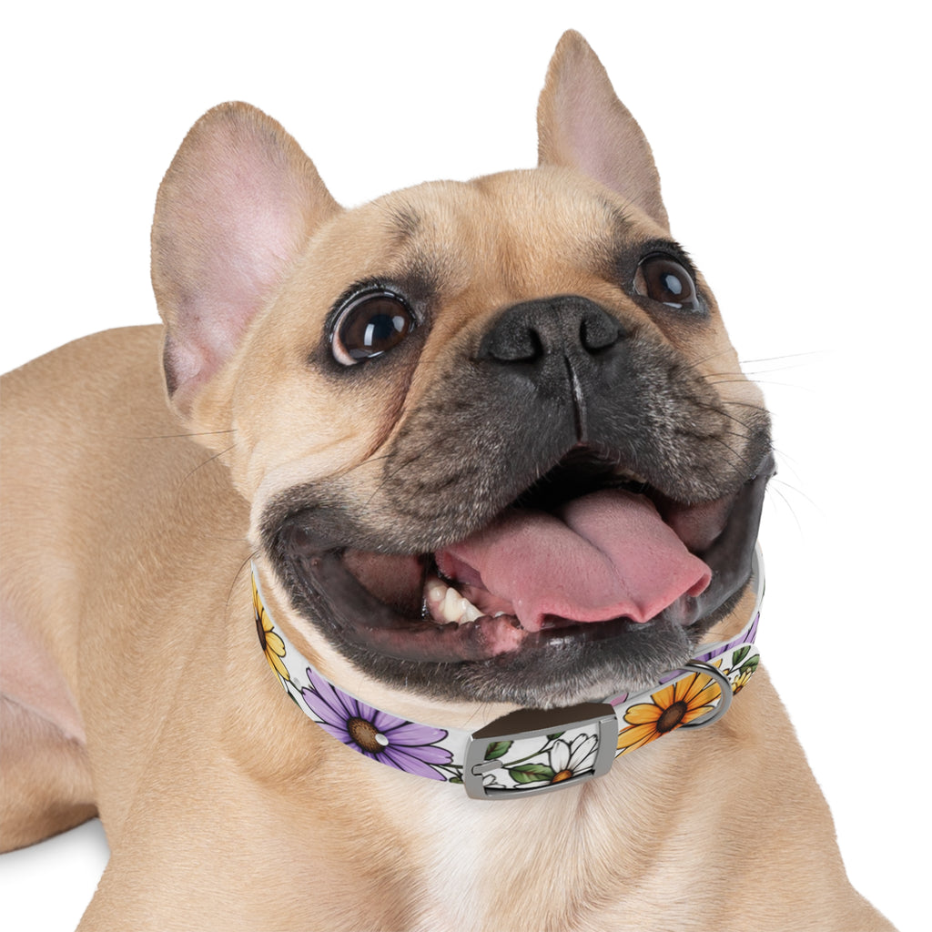 Floral Daisy Dog Collar — Colorful Spring Flower Pet Collar