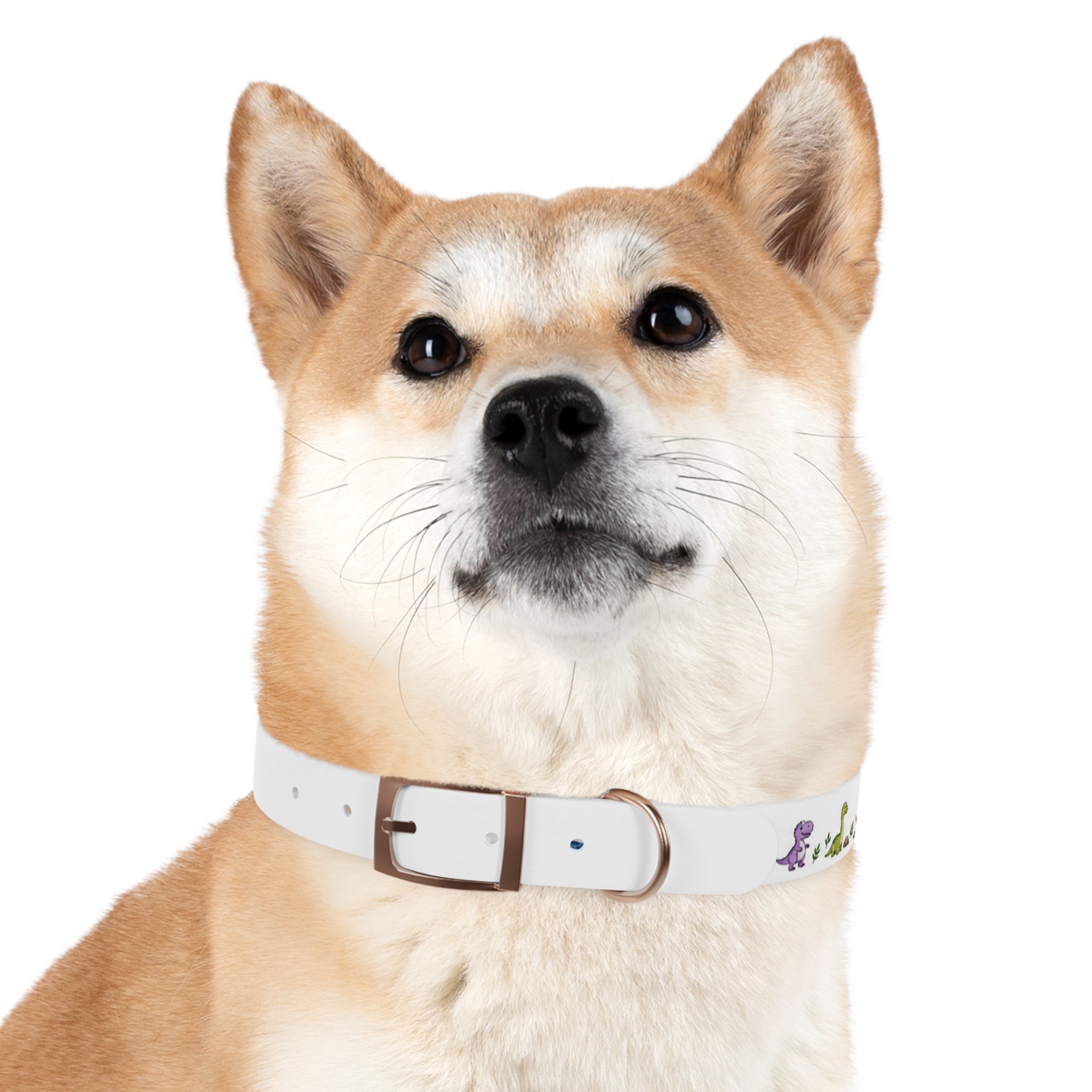 Cute Watercolor Dinosaurs Dog Collar – Adjustable Pet Collar with Colorful Dino Pattern