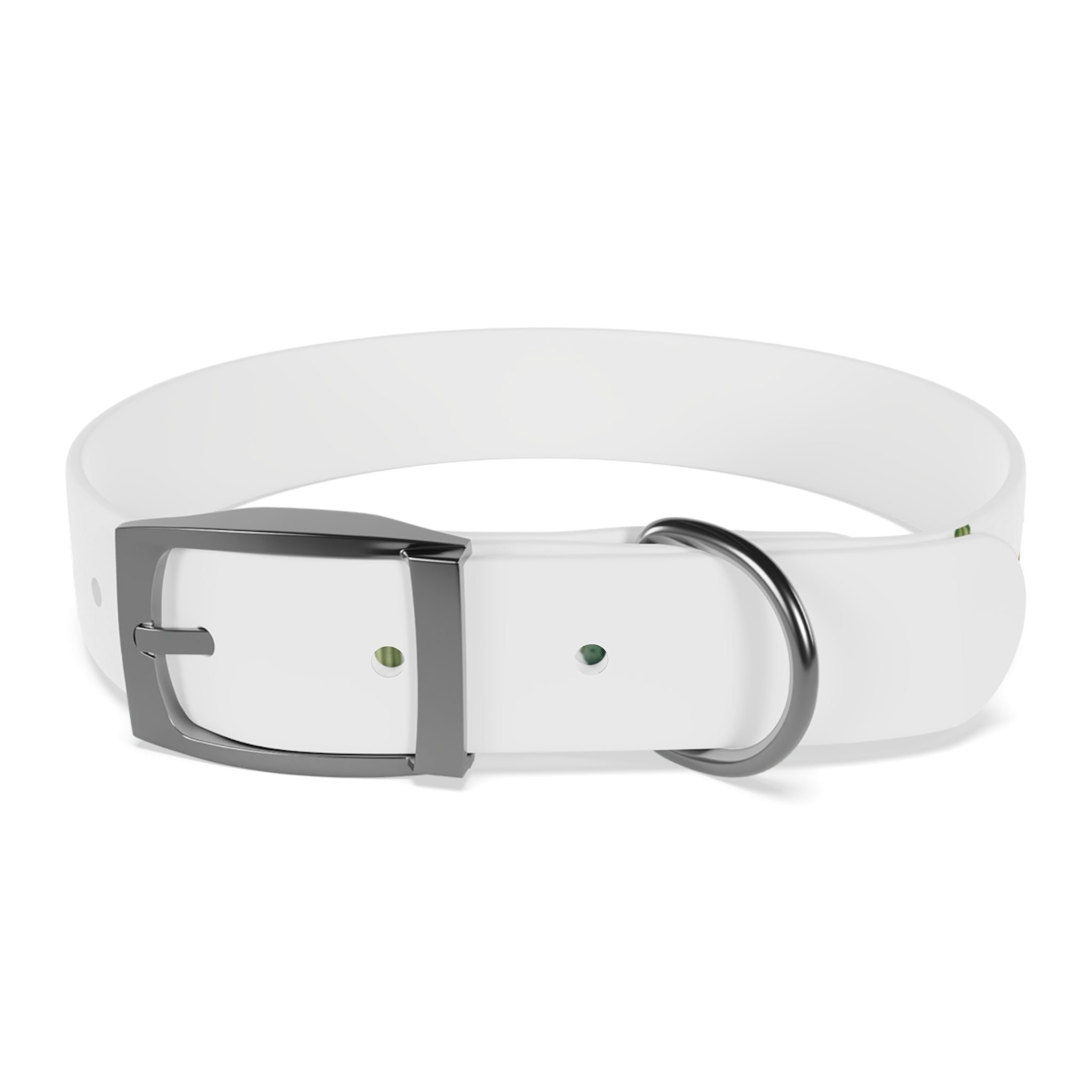 Cactus Garden Dog Collar — Watercolor Succulent Print for Small & Large Dogs
