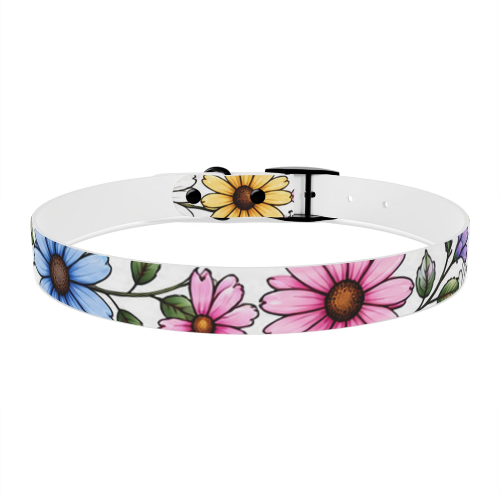 Floral Daisy Dog Collar — Colorful Spring Flower Pet Collar