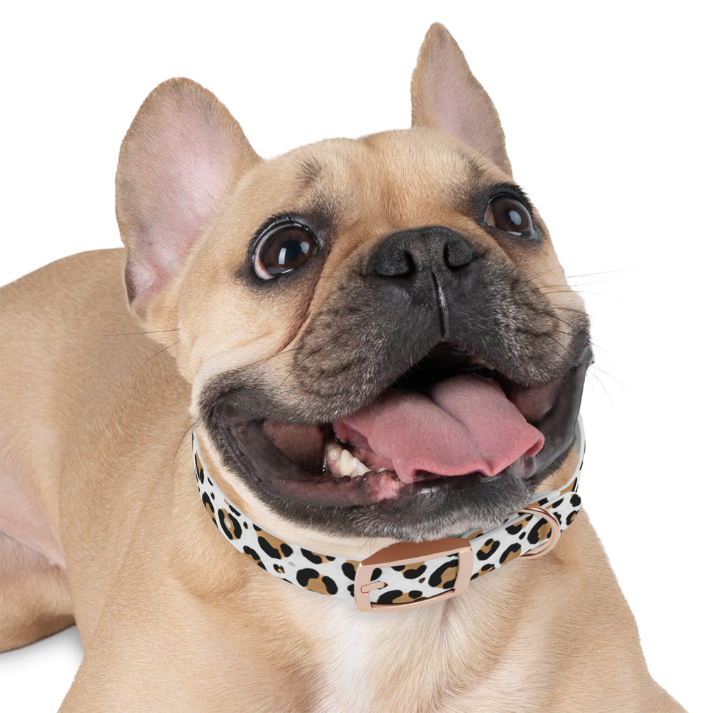 Leopard Print Dog Collar — Stylish Tan & Black Pattern for Small to Large Dogs