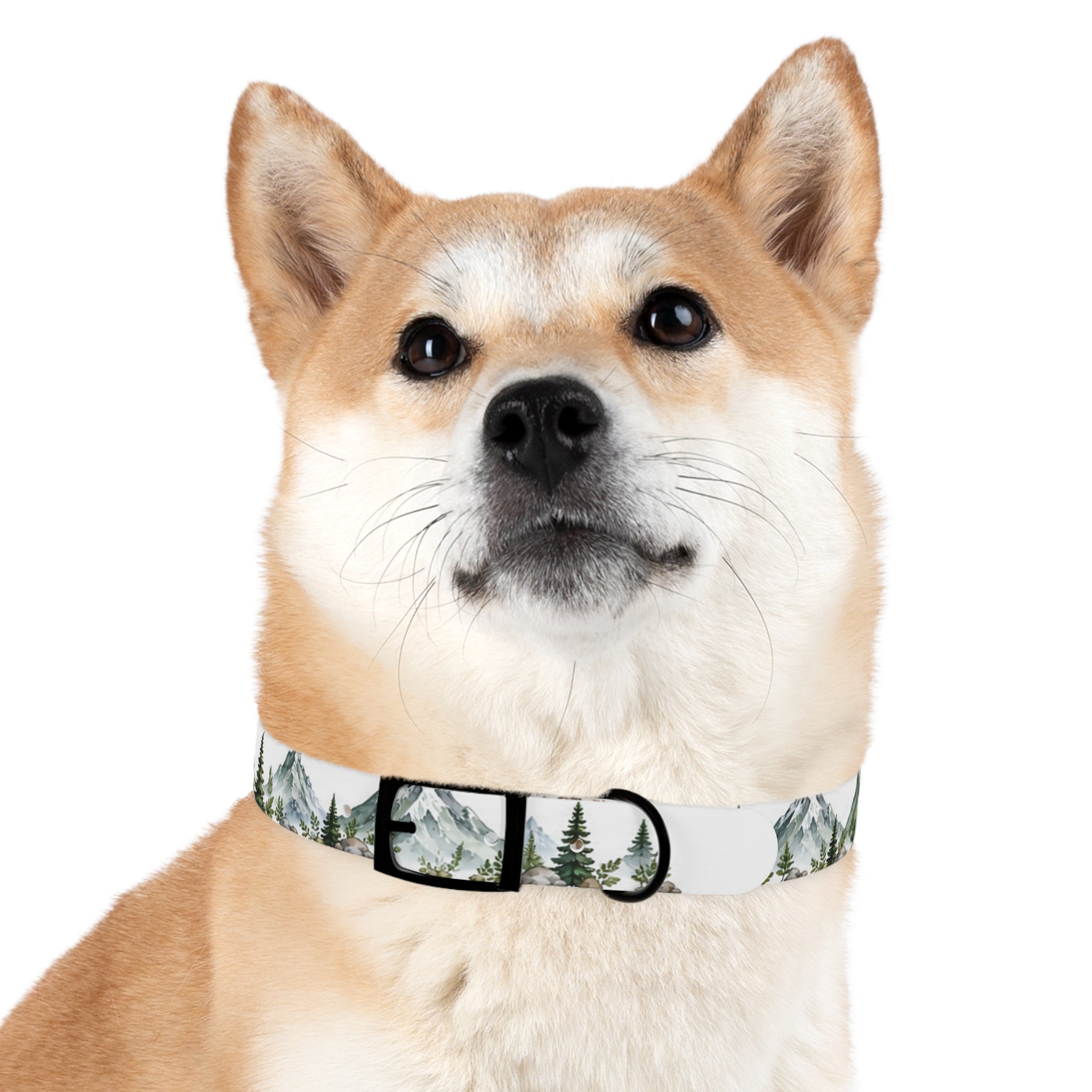 Mountain Pine Dog Collar — Watercolor Mountains & Evergreen Trees