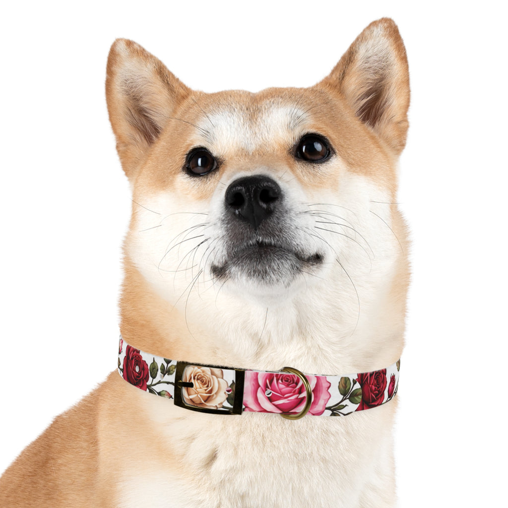 Floral Rose Dog Collar — Pink & Cream Garden Print
