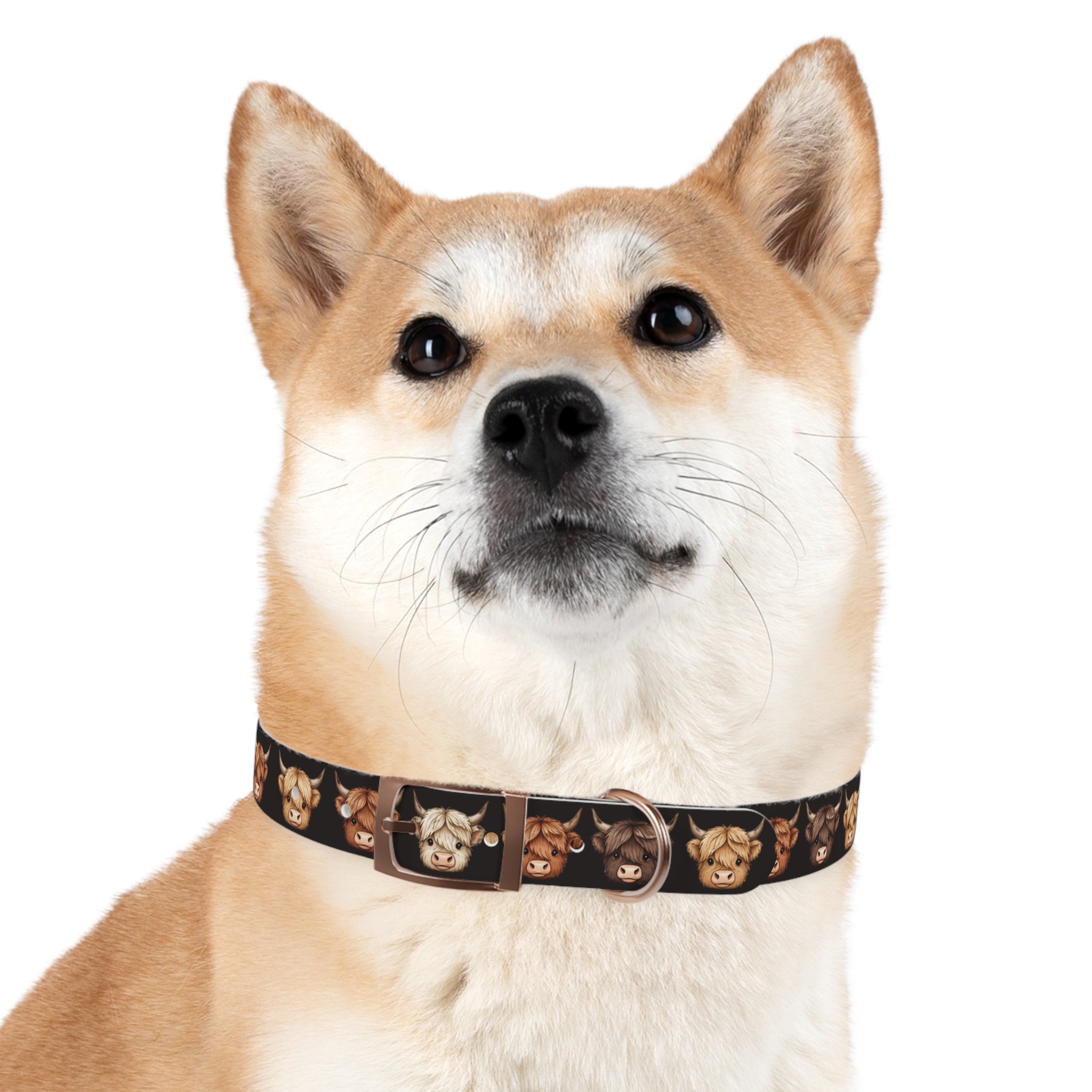 Highland Cow Dog Collar — Cute Scottish Cow Print Pet Collar