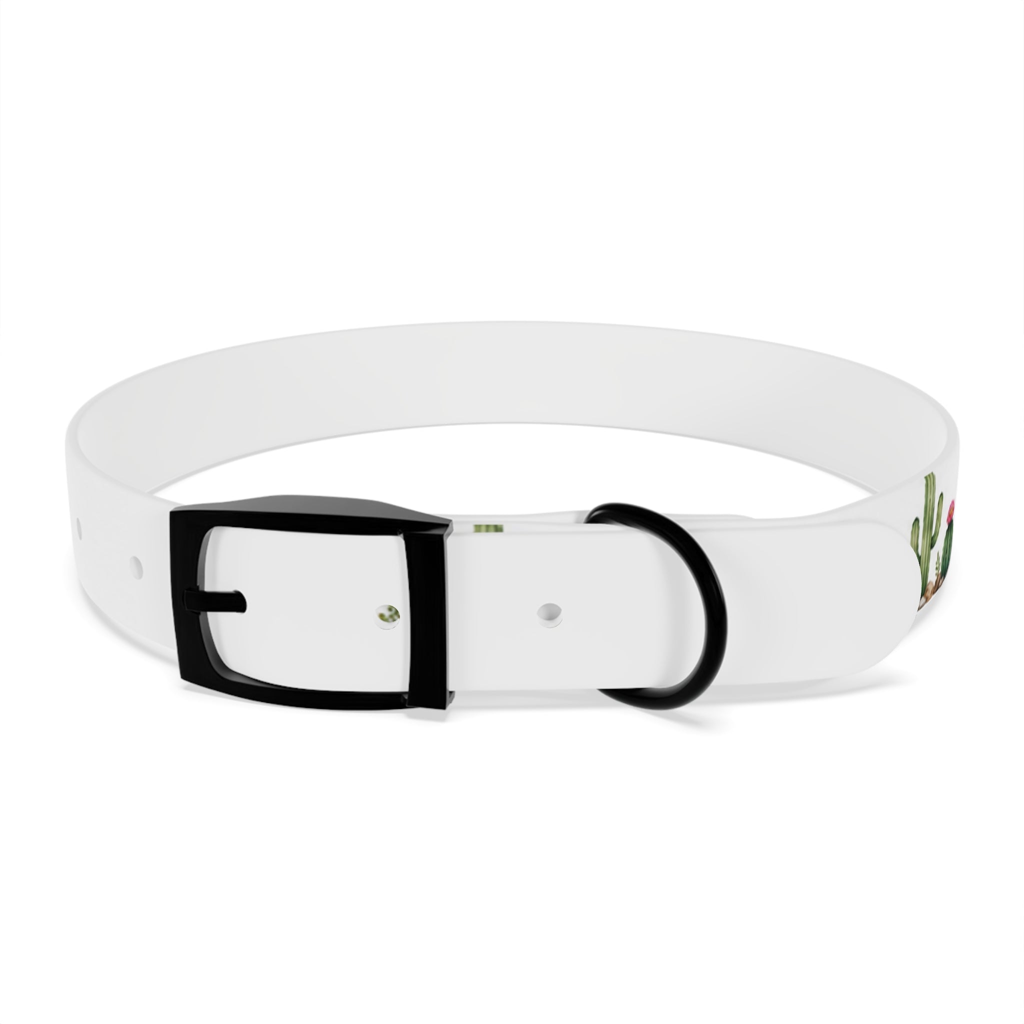 Cactus Garden Dog Collar — Watercolor Succulent Print for Small & Large Dogs