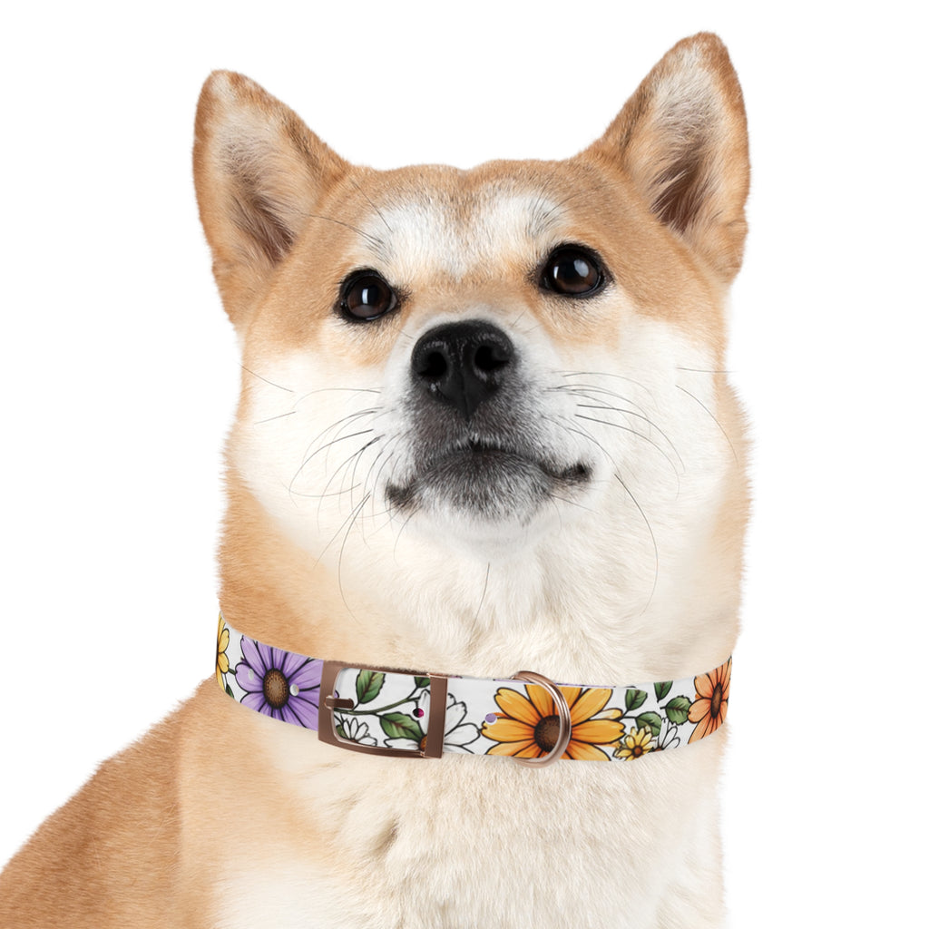 Floral Daisy Dog Collar — Colorful Spring Flower Pet Collar