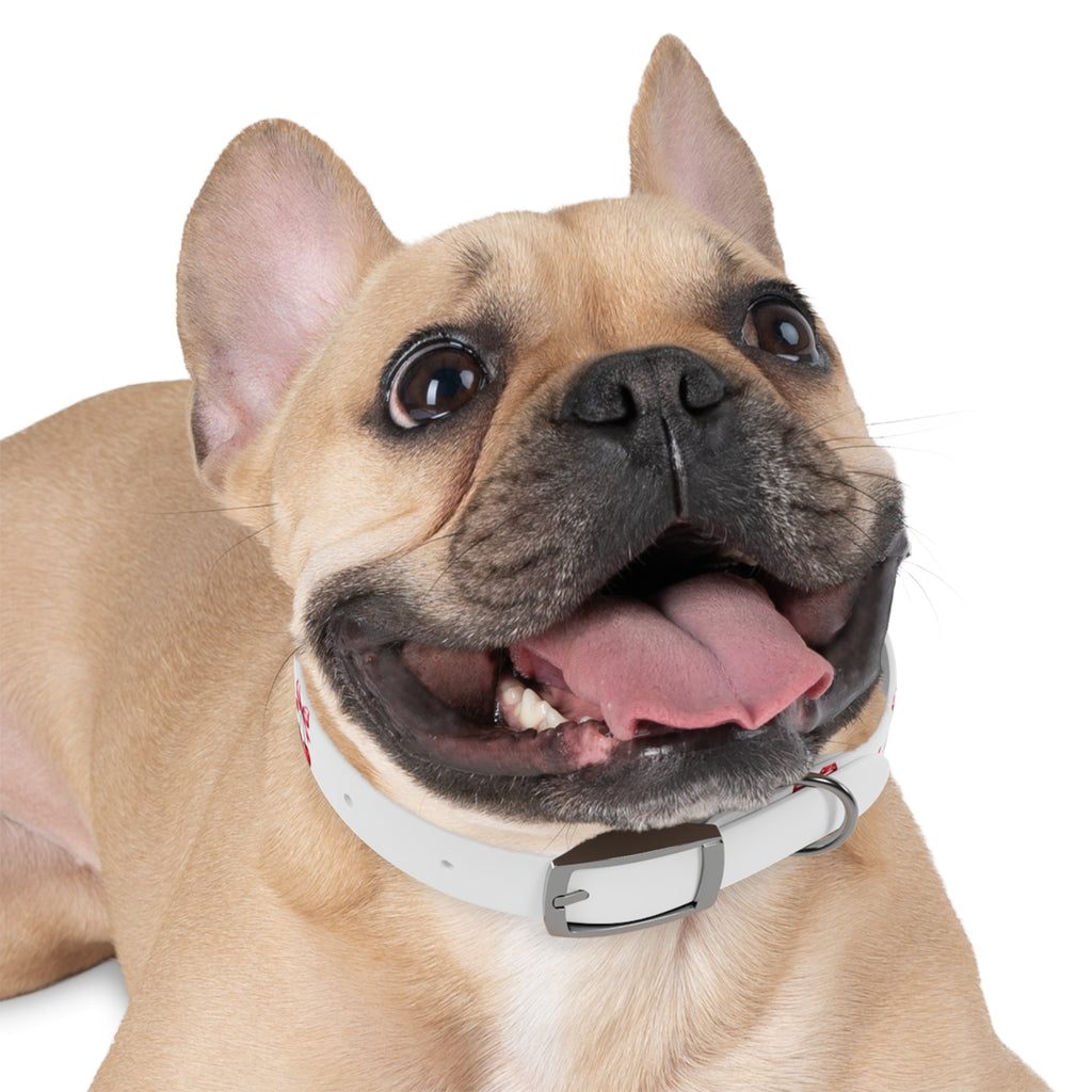 Cherry Bow Dog Collar — Cute Red Cherries Pattern Collar for Small & Medium Dogs