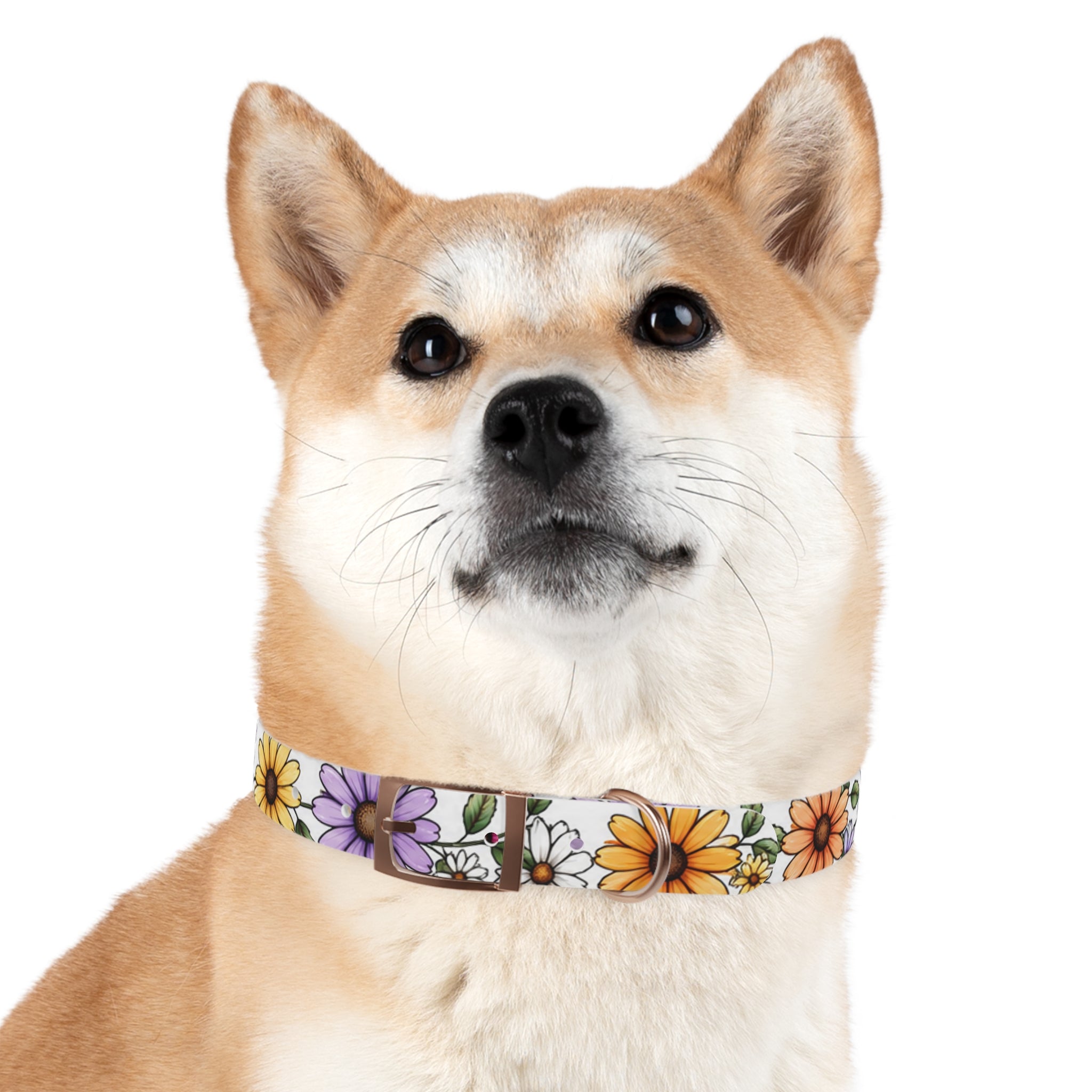 Floral Daisy Dog Collar — Colorful Spring Flower Pet Collar