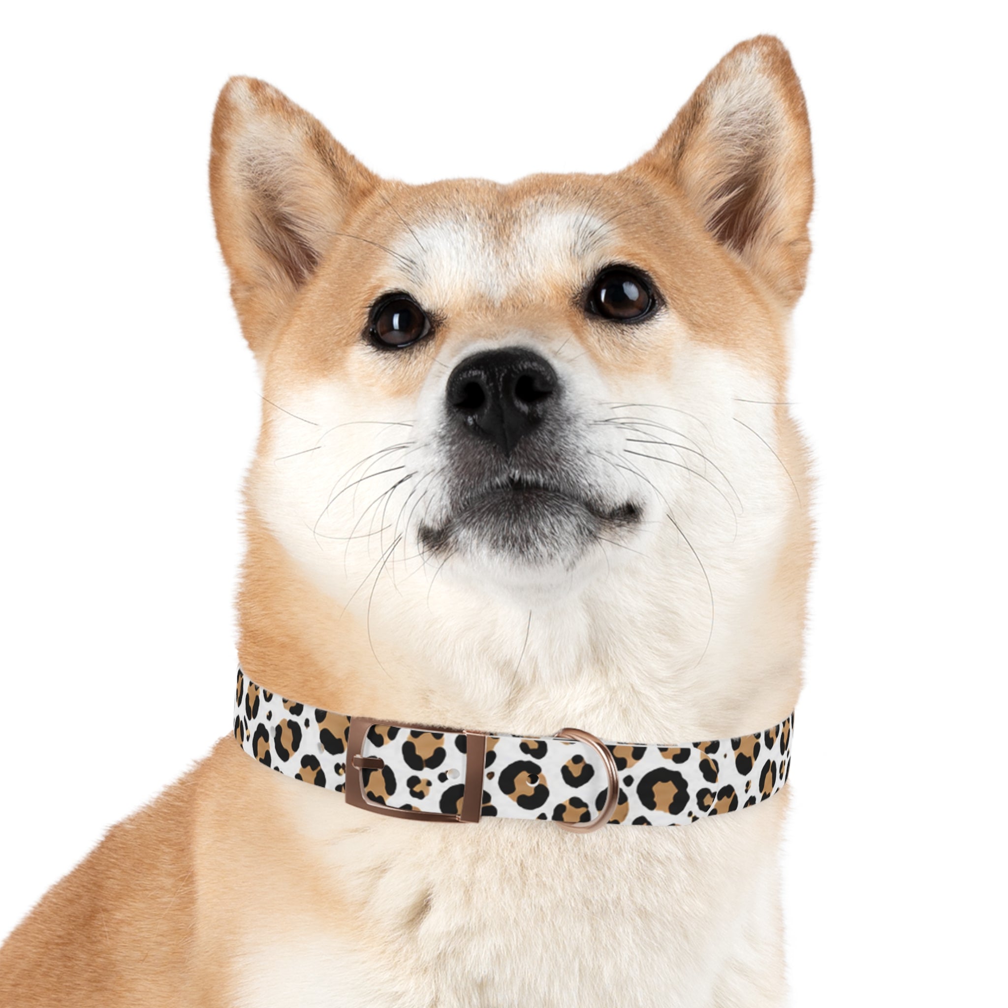Leopard Print Dog Collar — Stylish Tan & Black Pattern for Small to Large Dogs