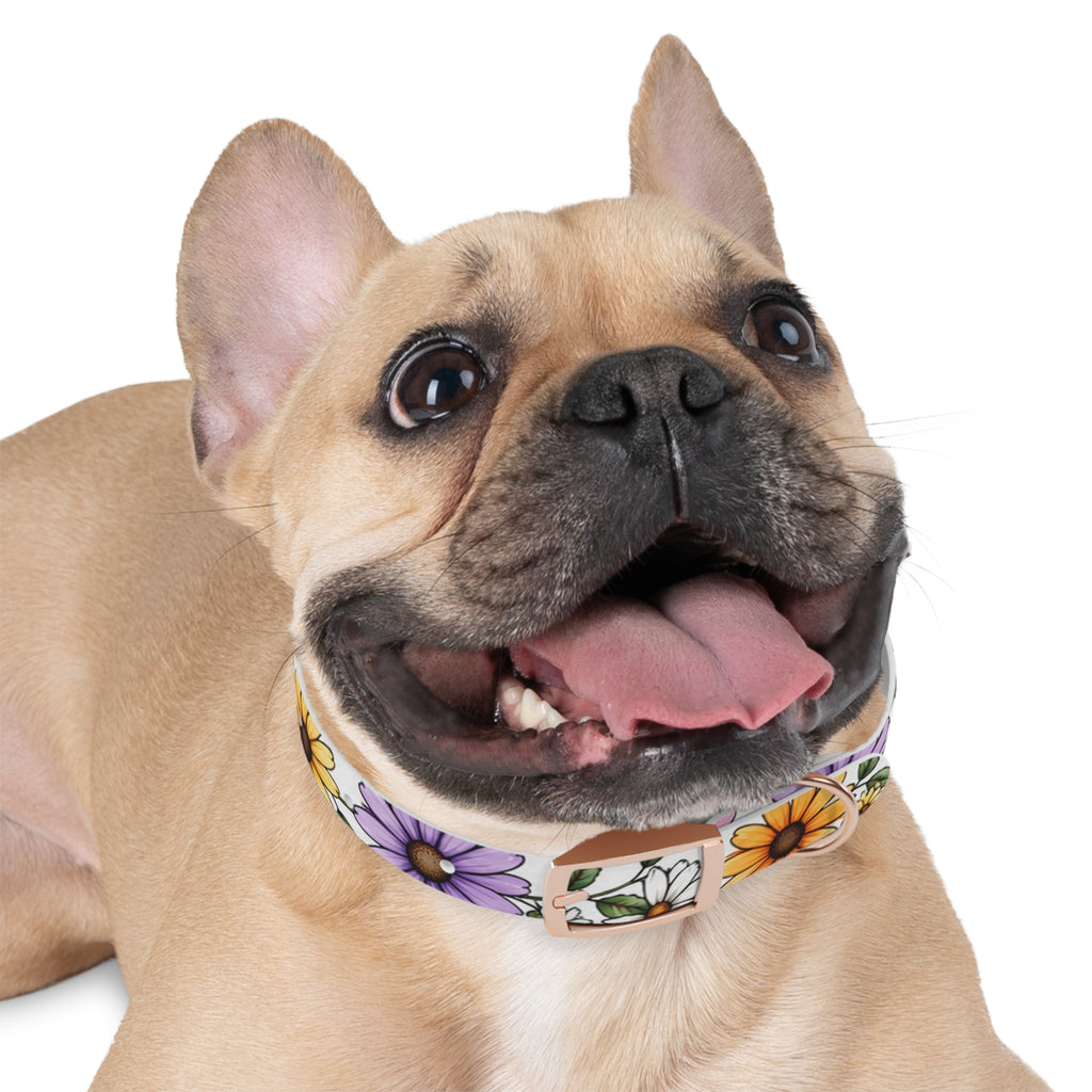 Floral Daisy Dog Collar — Colorful Spring Flower Pet Collar