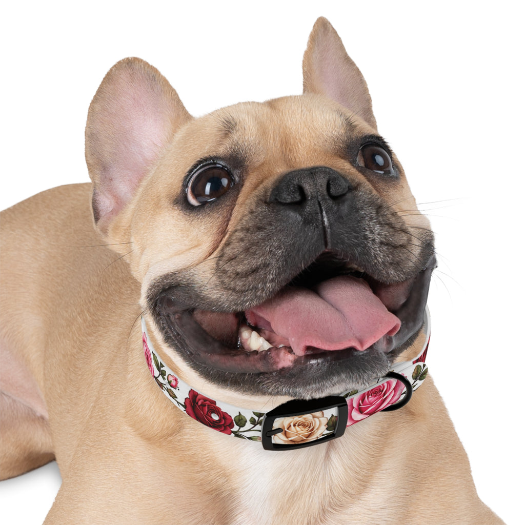 Floral Rose Dog Collar — Pink & Cream Garden Print