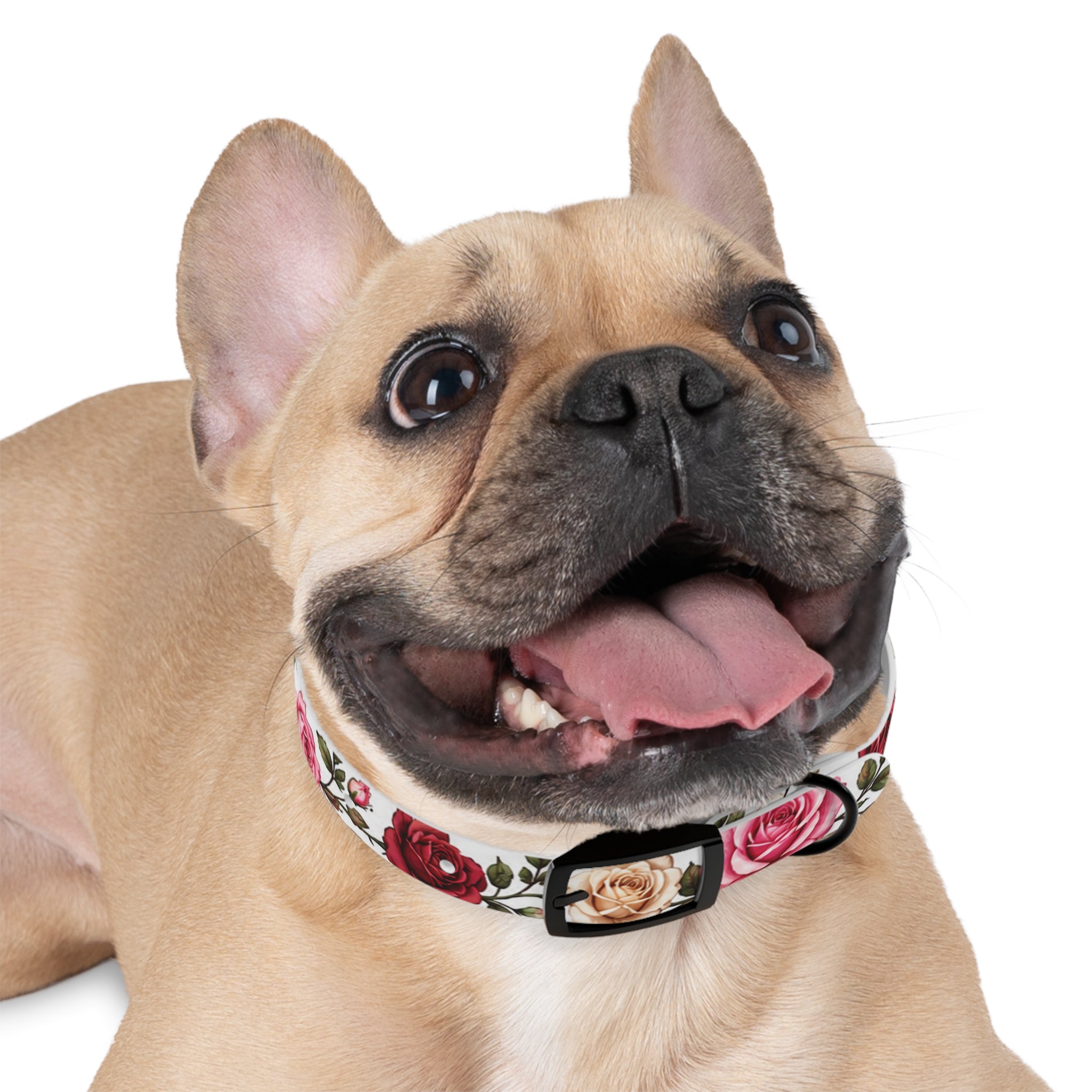 Floral Rose Dog Collar — Pink & Cream Garden Print